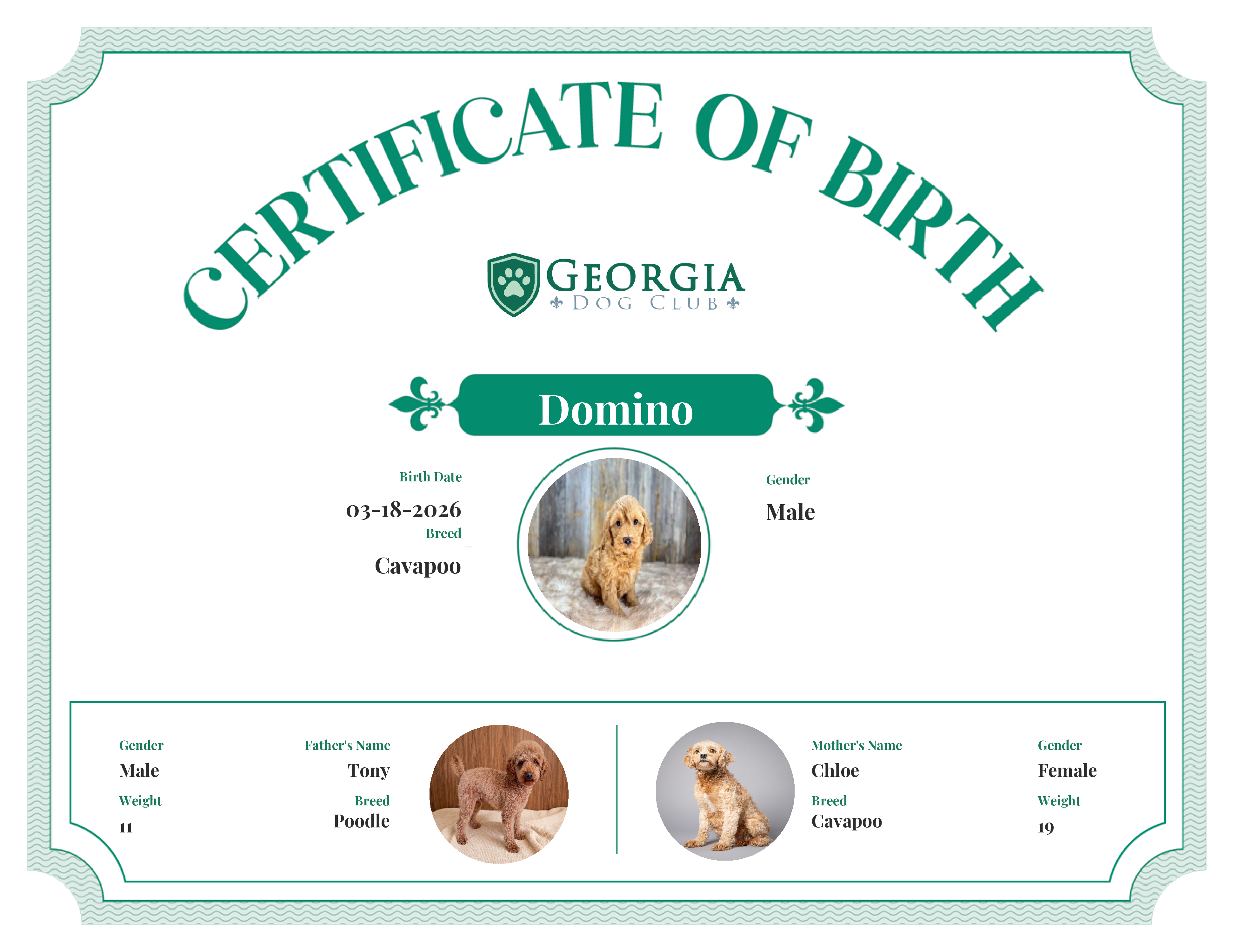Domino's Birth Certificate