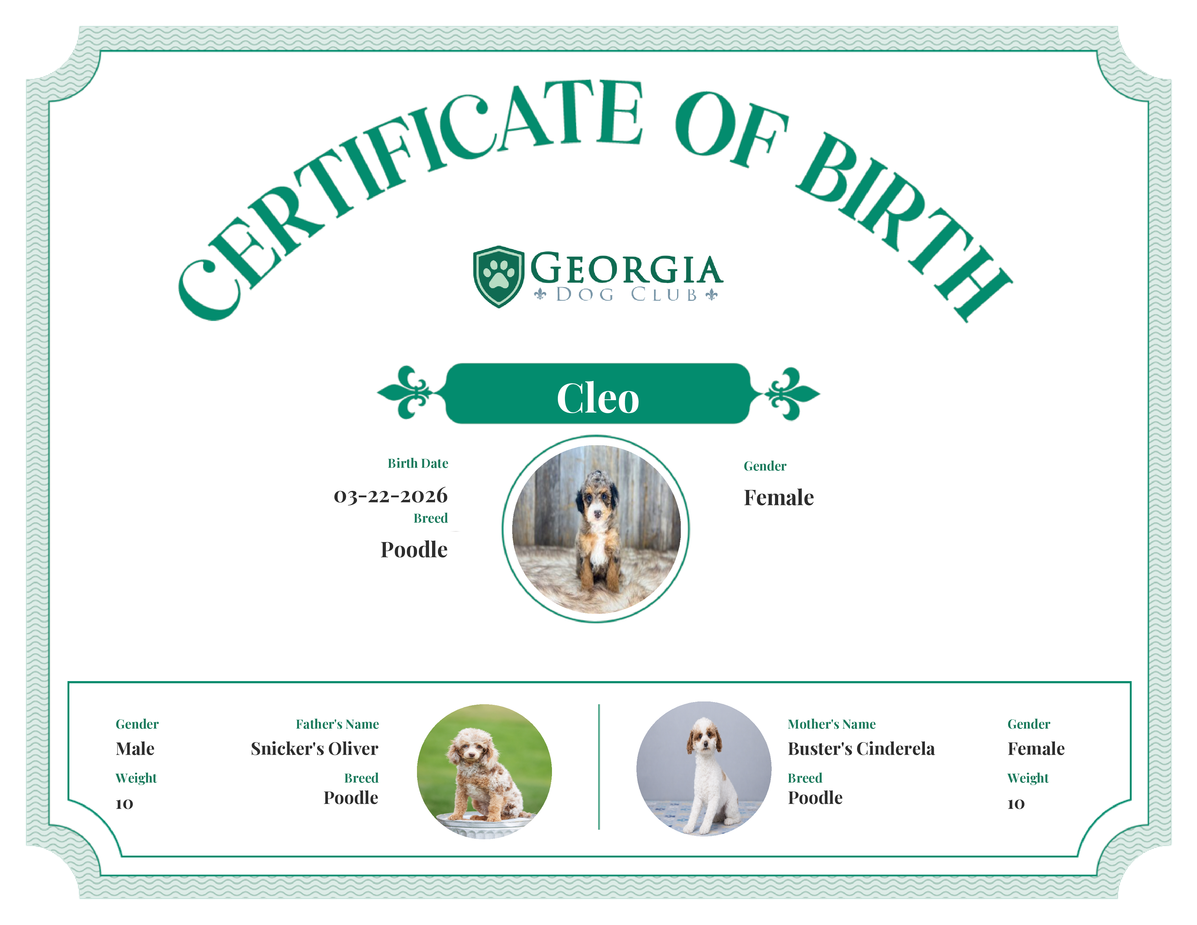 Cleo's Birth Certificate
