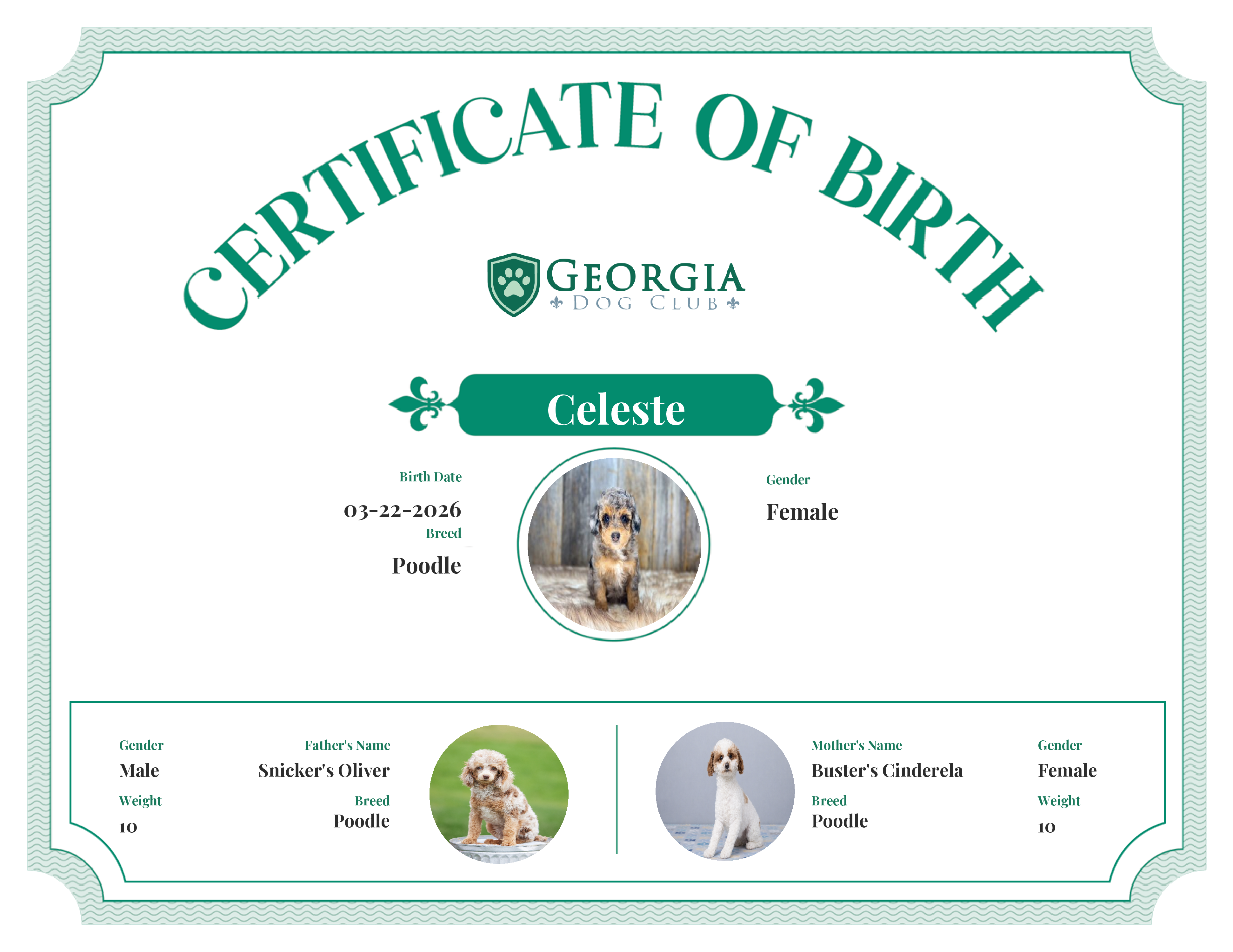 Celeste's Birth Certificate