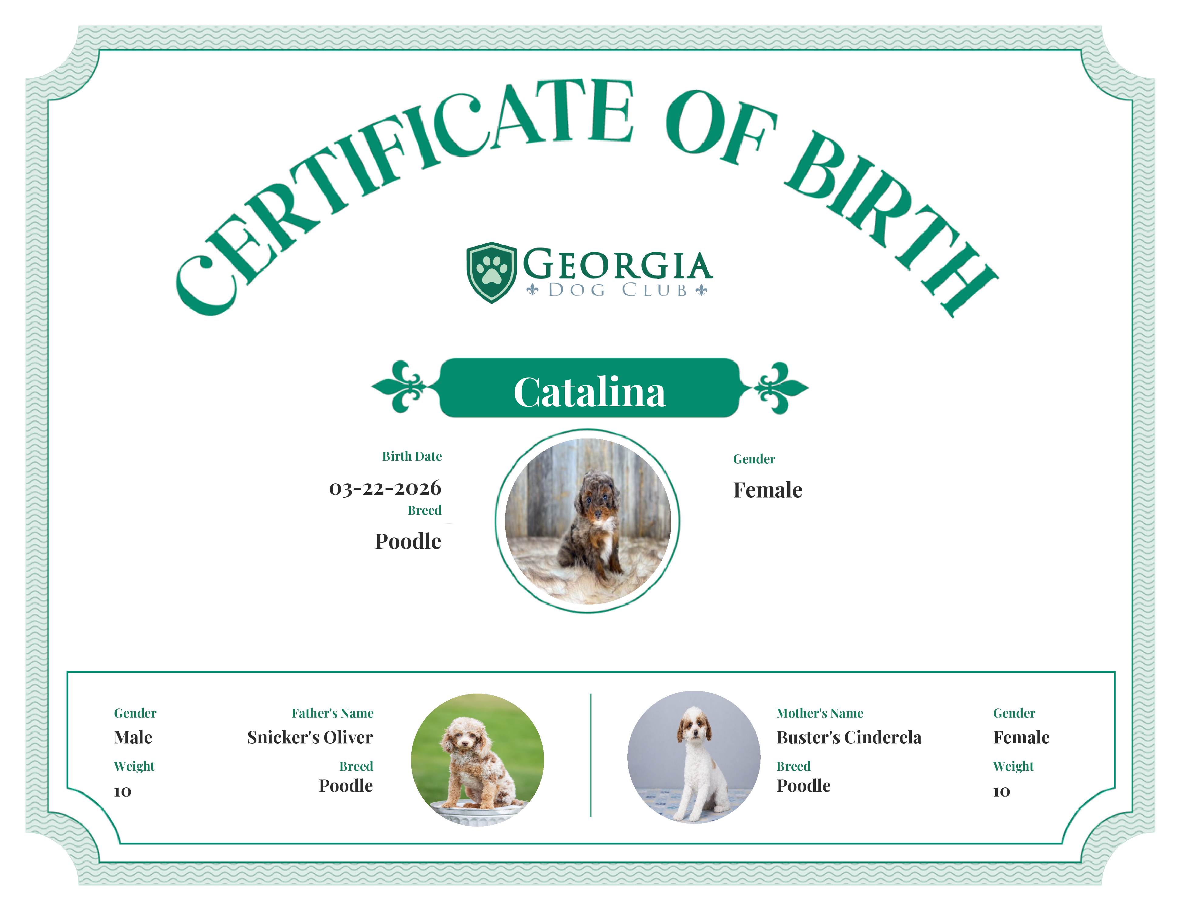 Catalina's Birth Certificate