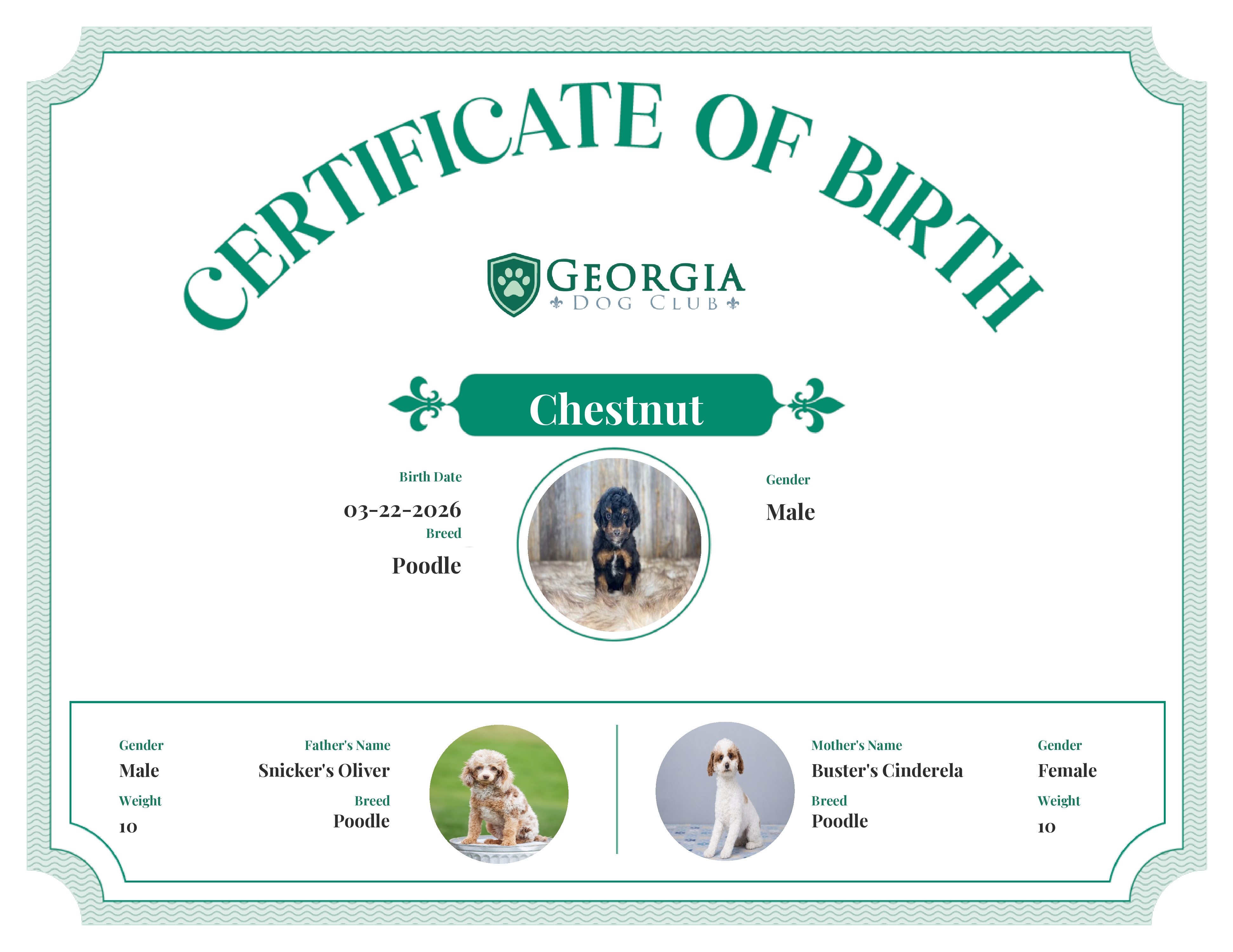 Chestnut's Birth Certificate
