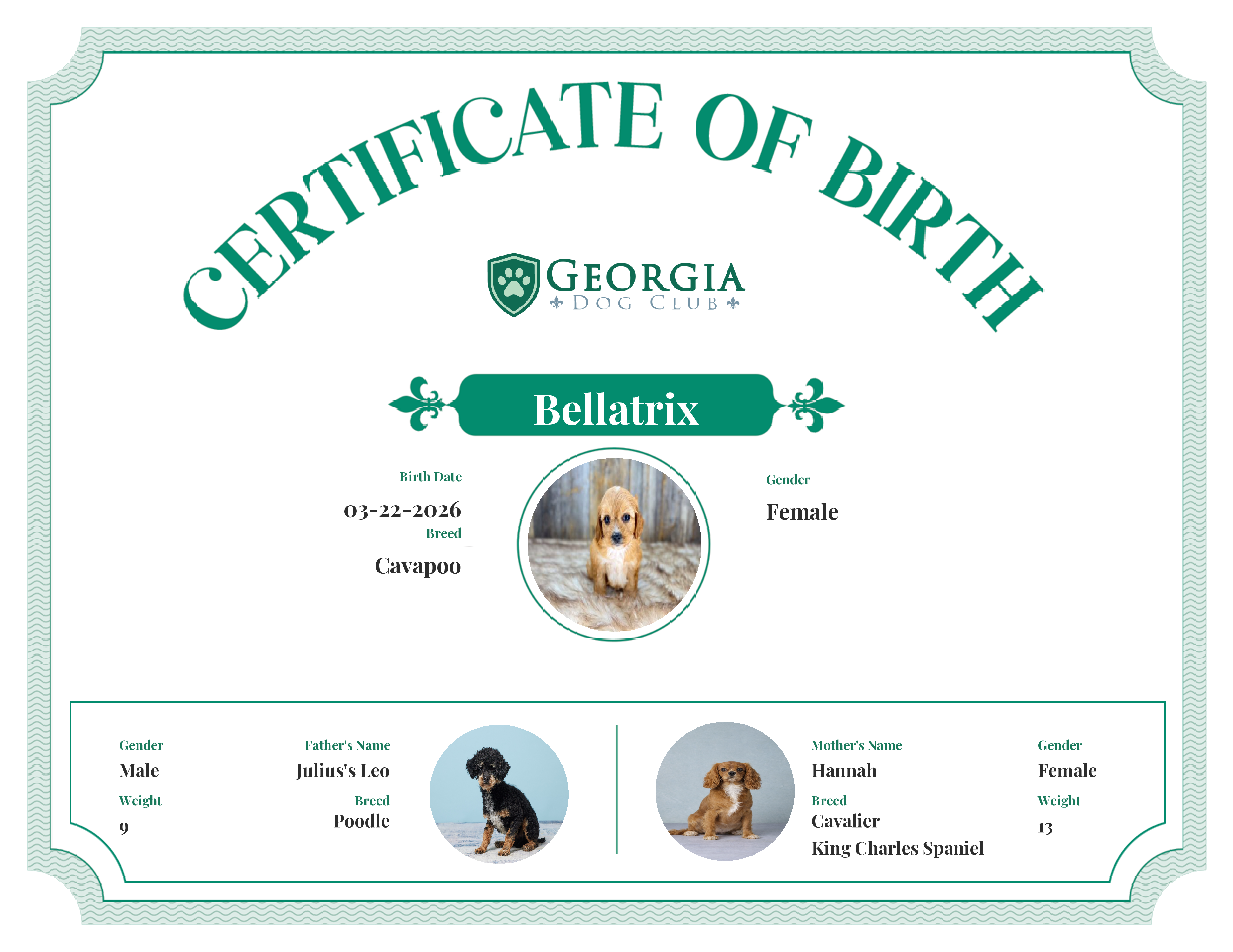 Bellatrix's Birth Certificate