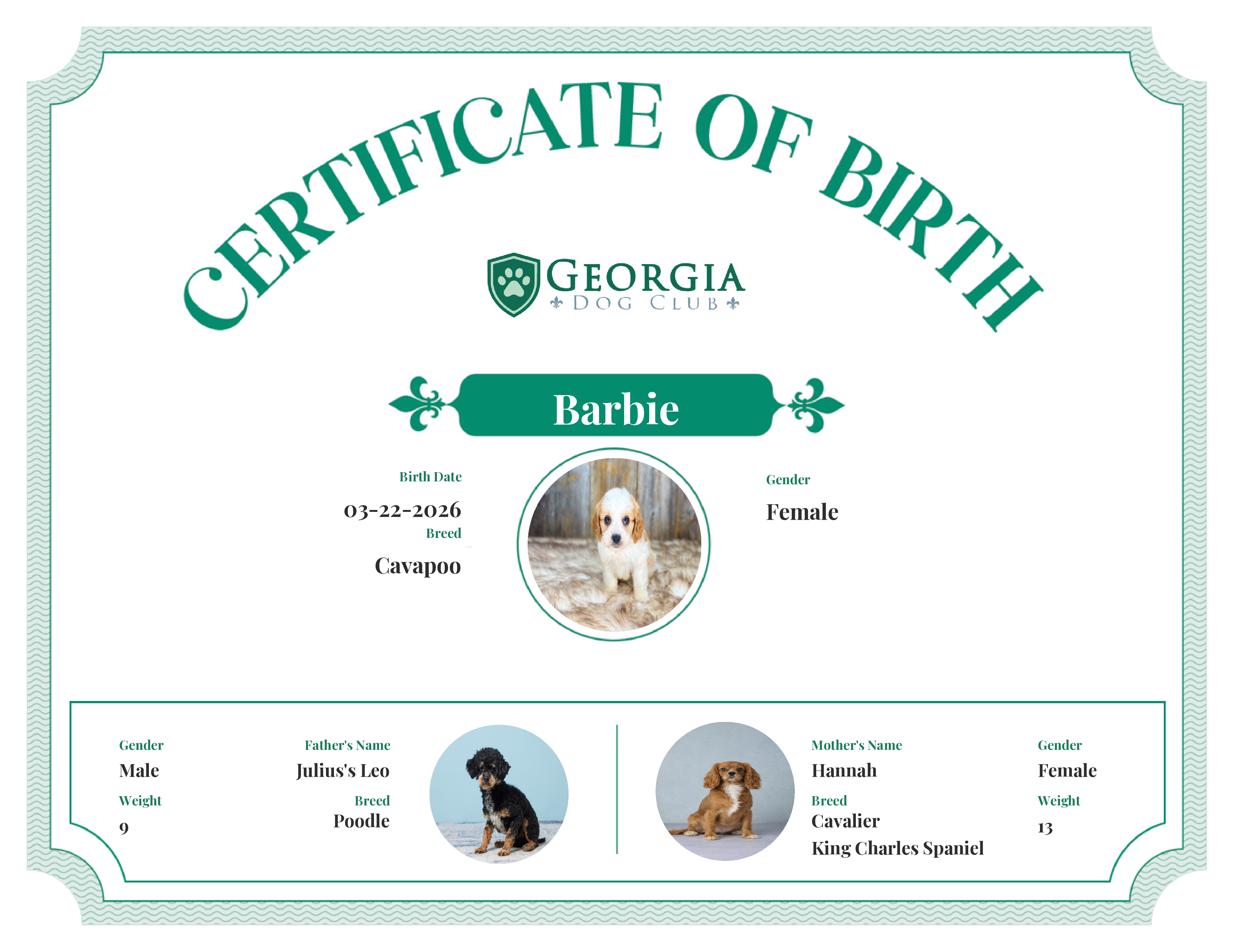 Barbie's Birth Certificate