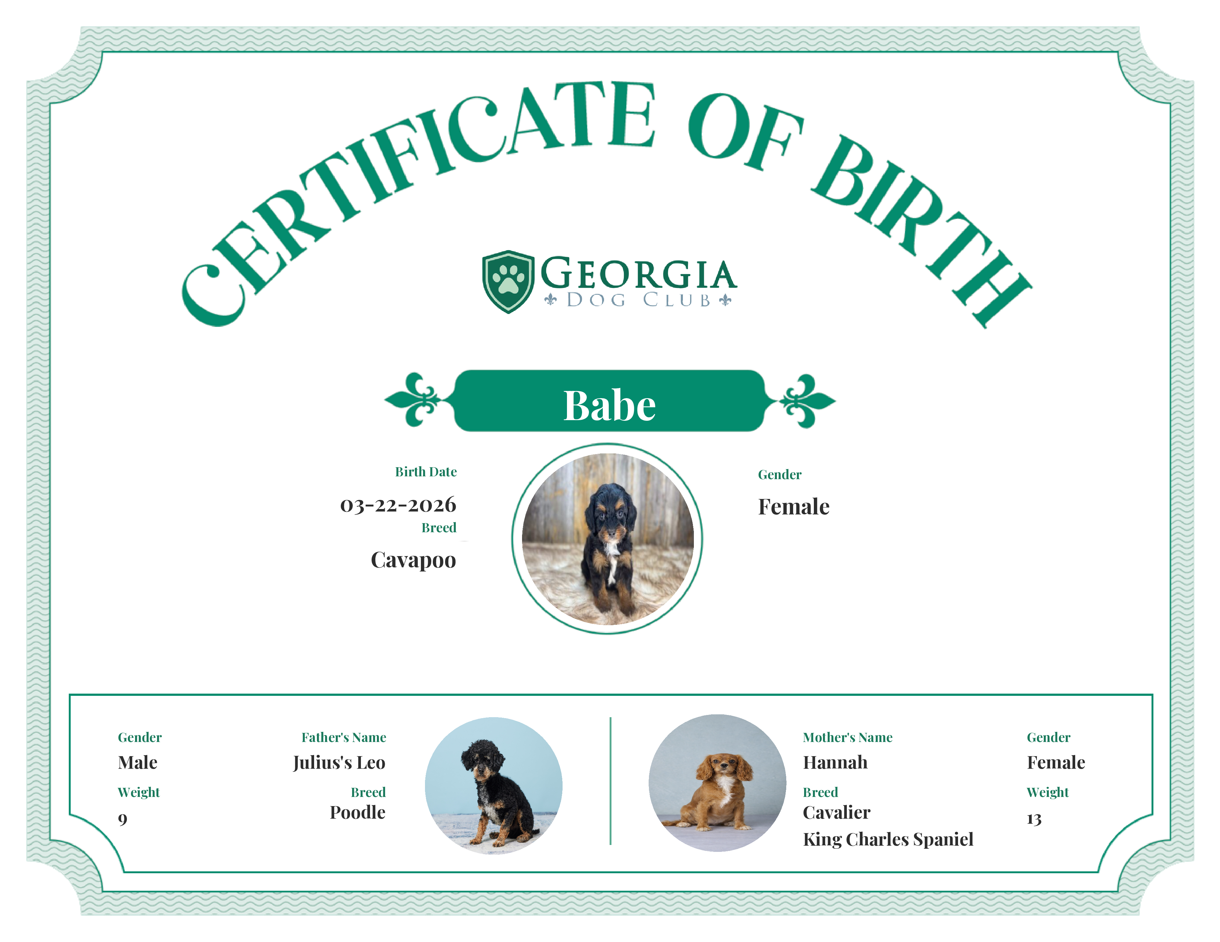 Babe's Birth Certificate