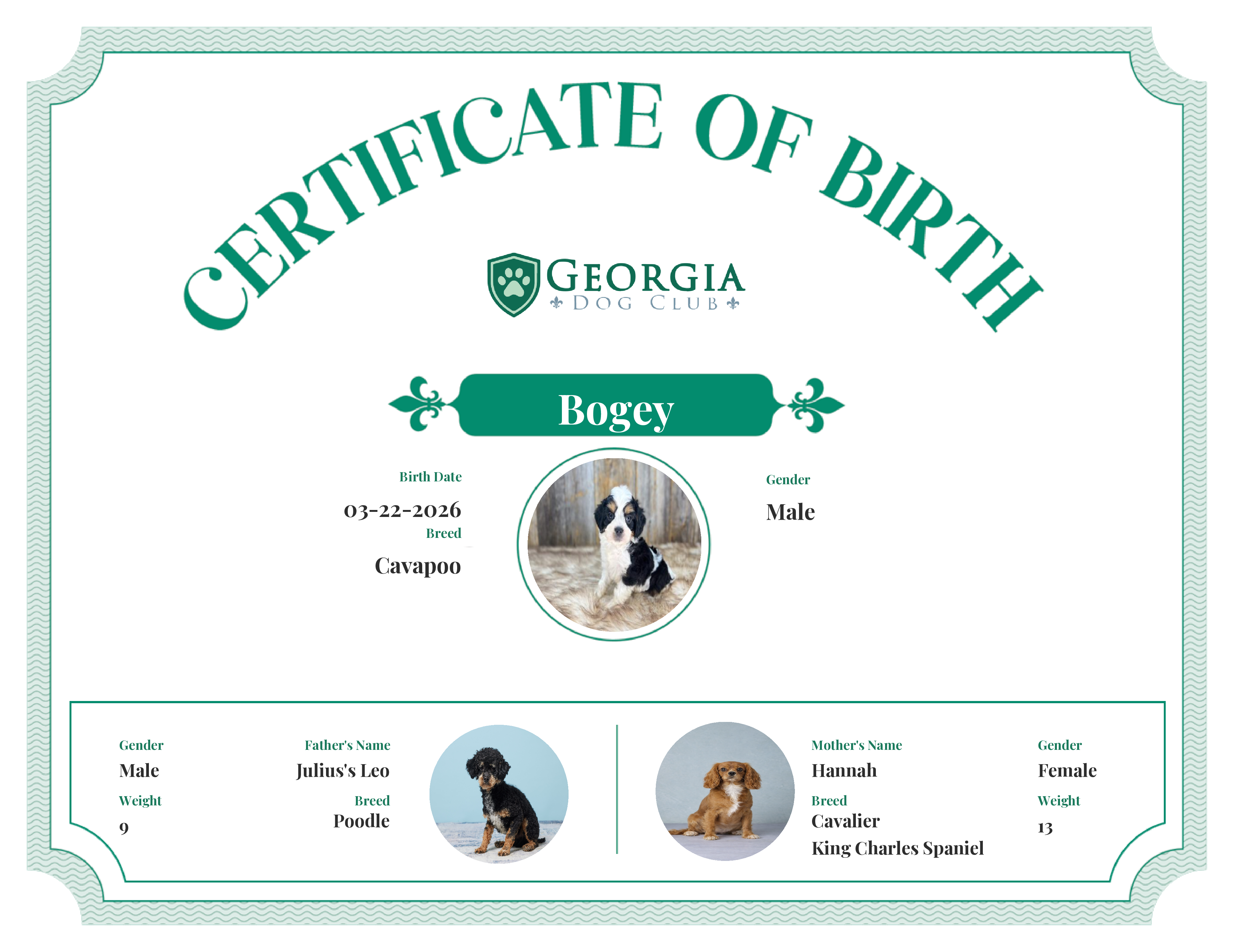 Bogey's Birth Certificate