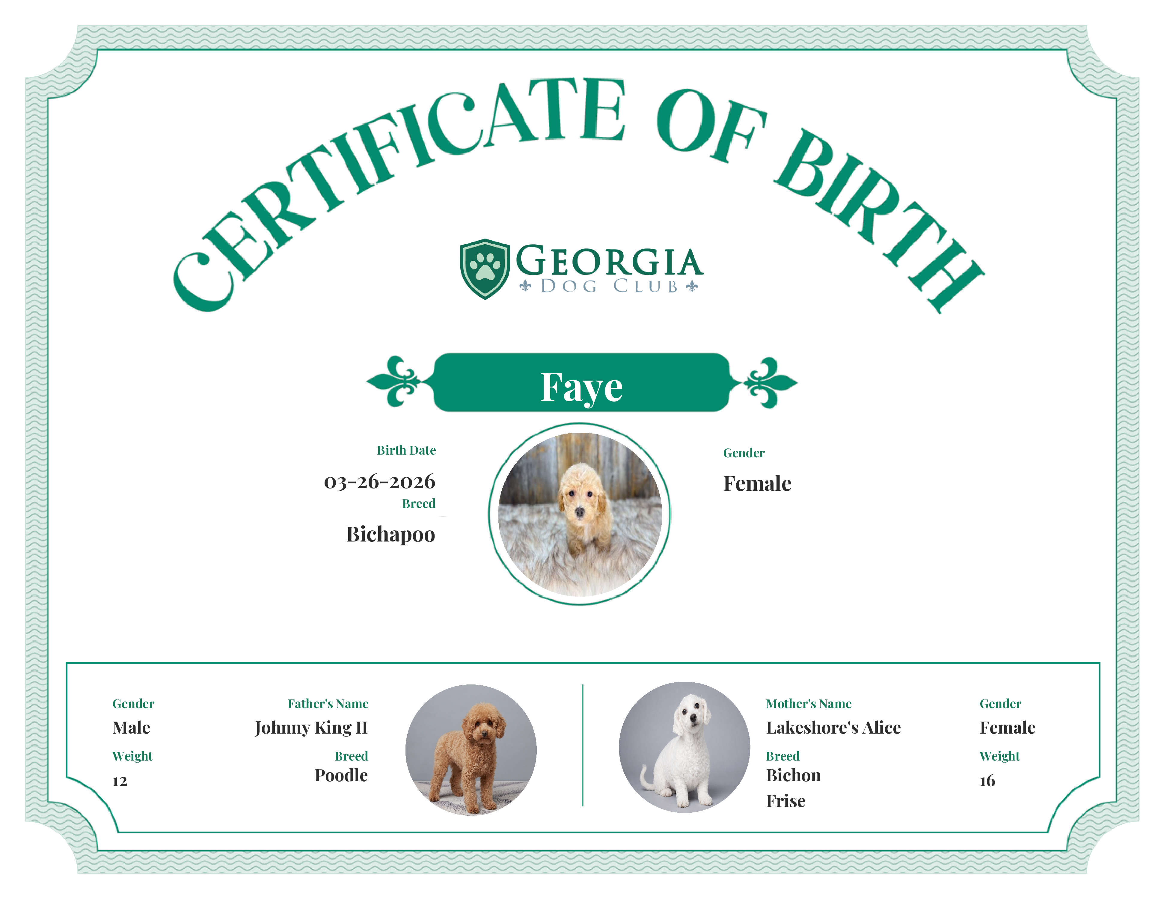 Faye's Birth Certificate