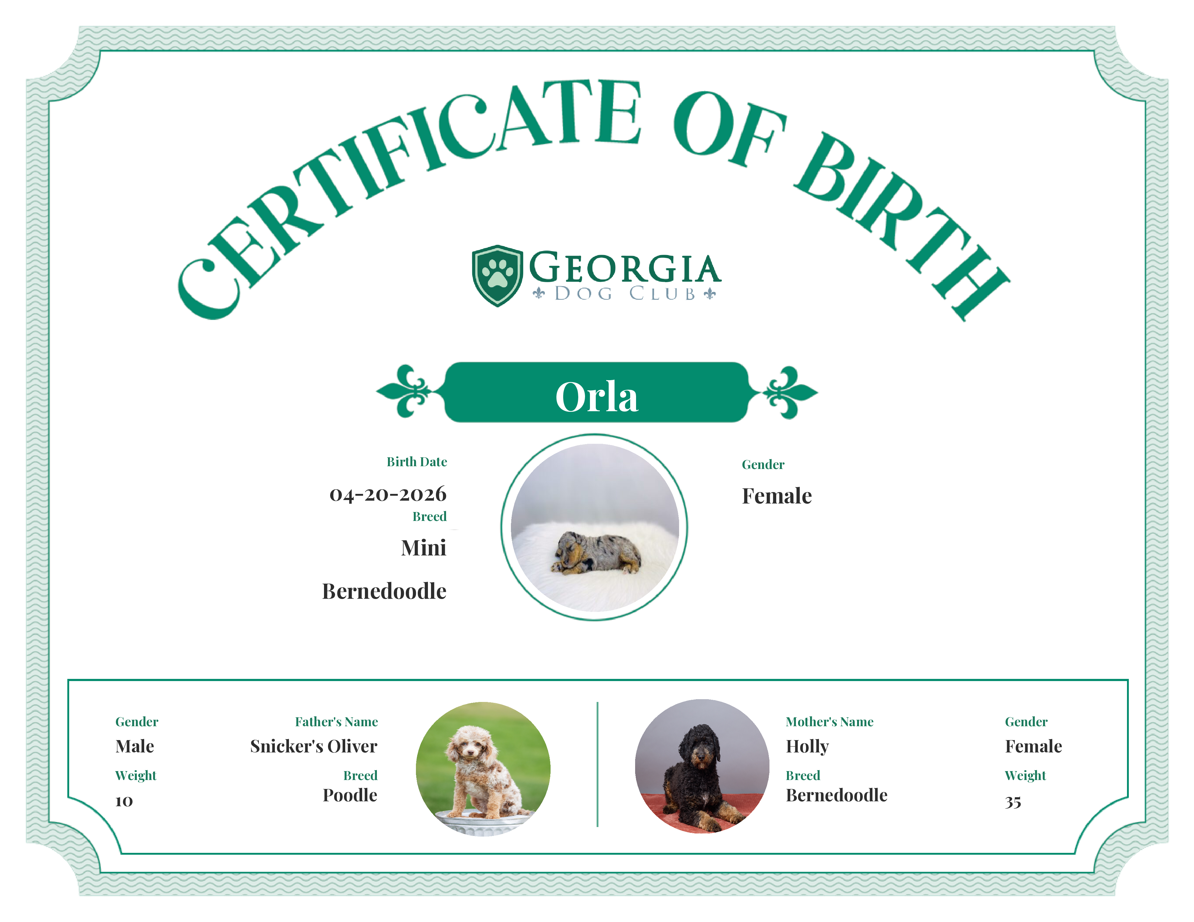 Orla's Birth Certificate