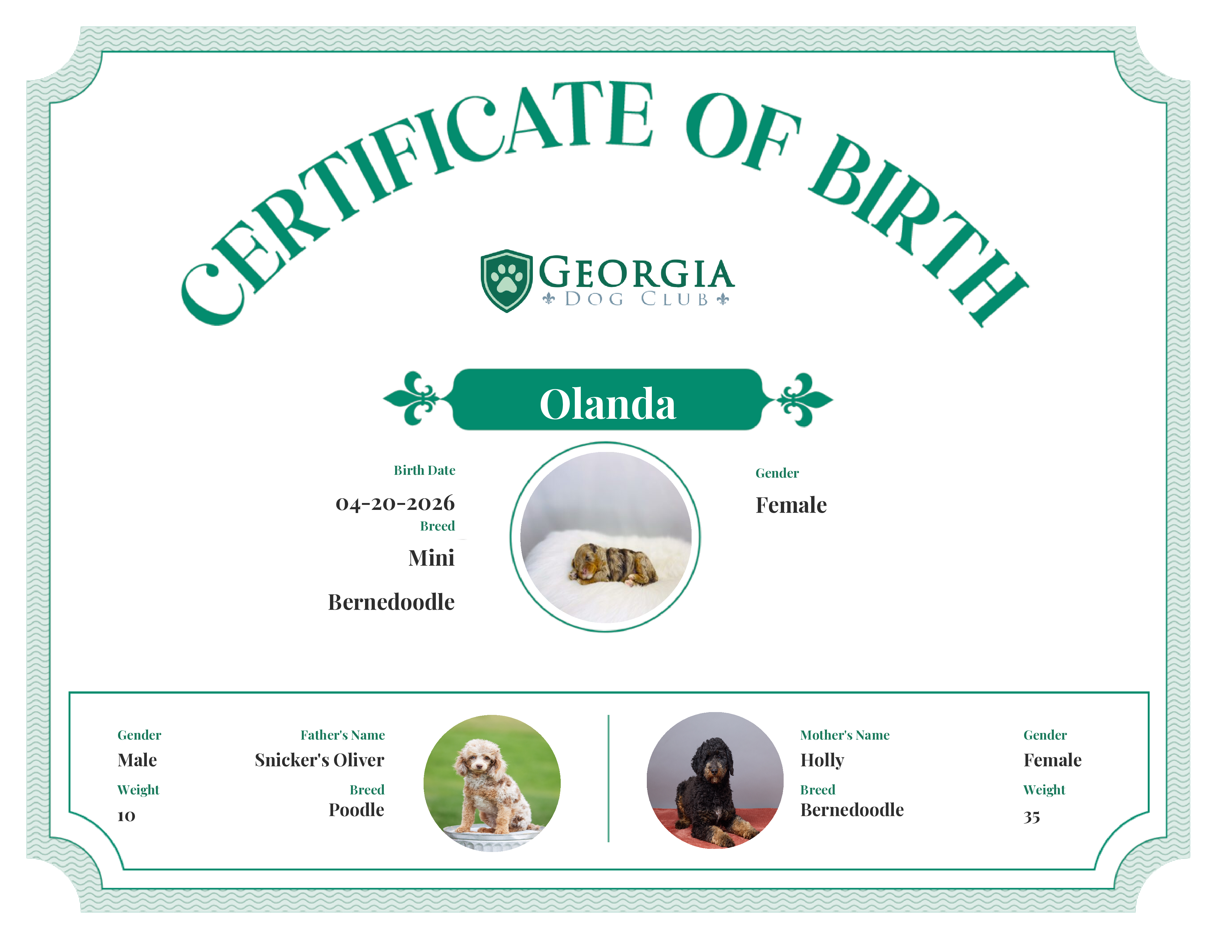 Olanda's Birth Certificate