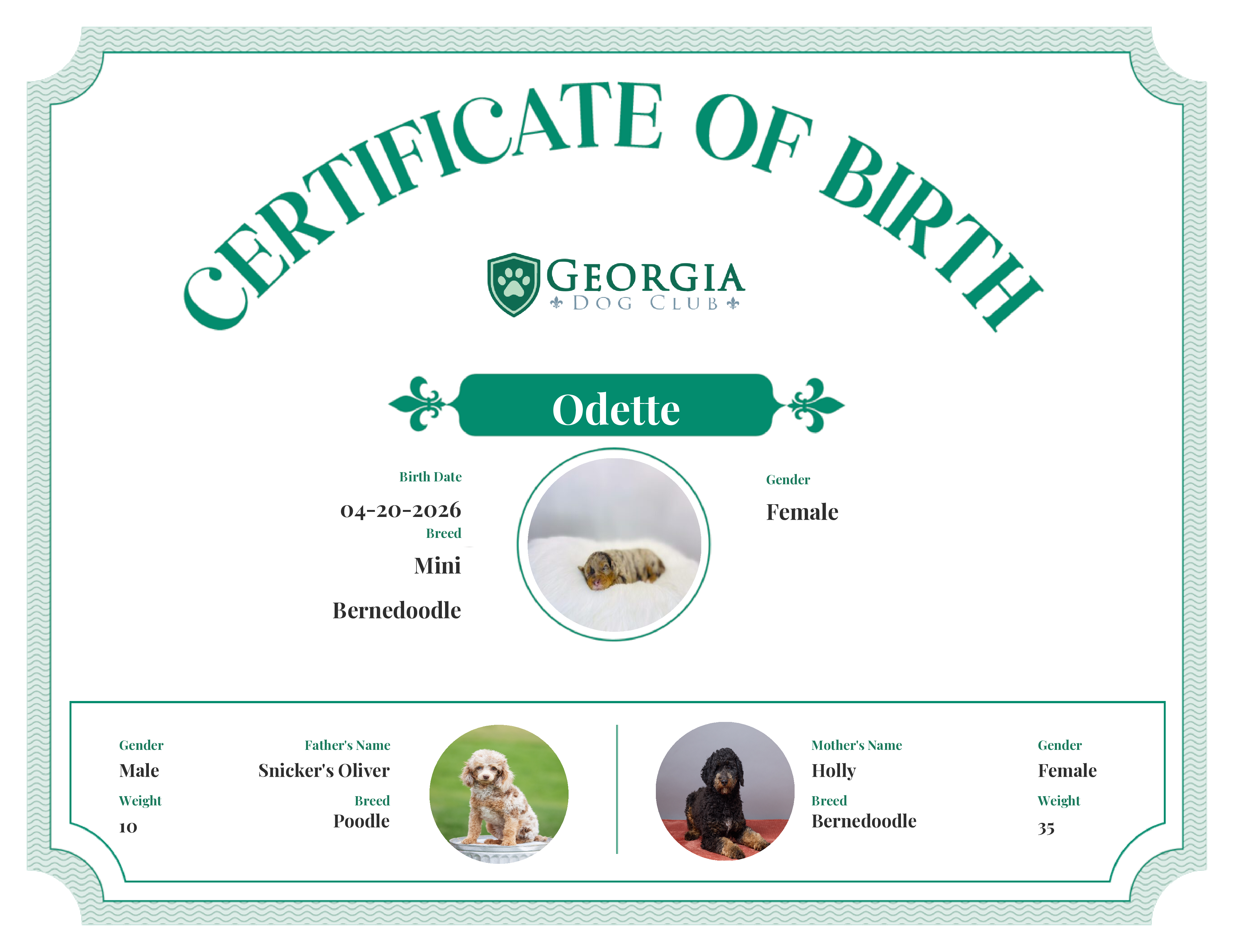Odette's Birth Certificate
