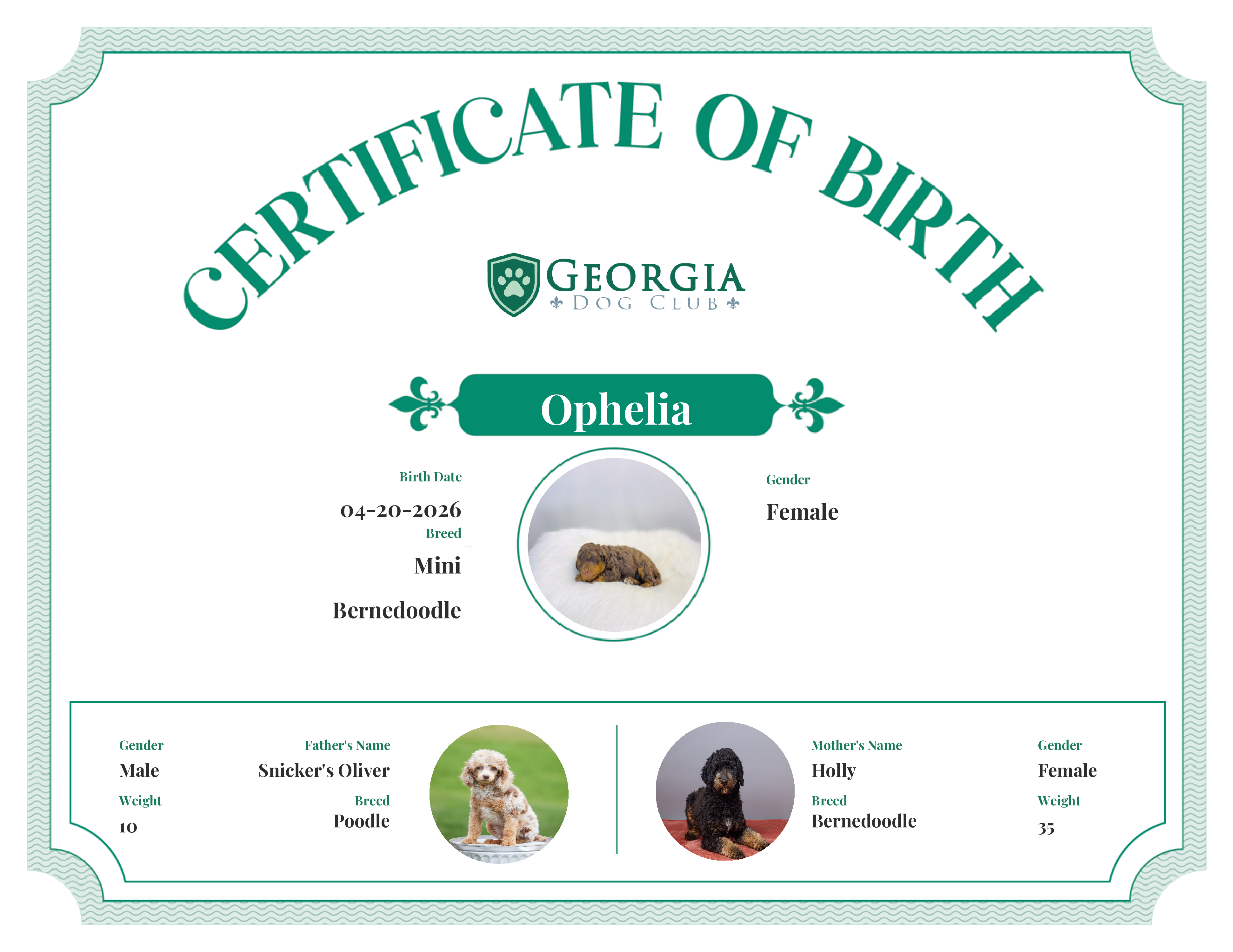 Ophelia's Birth Certificate
