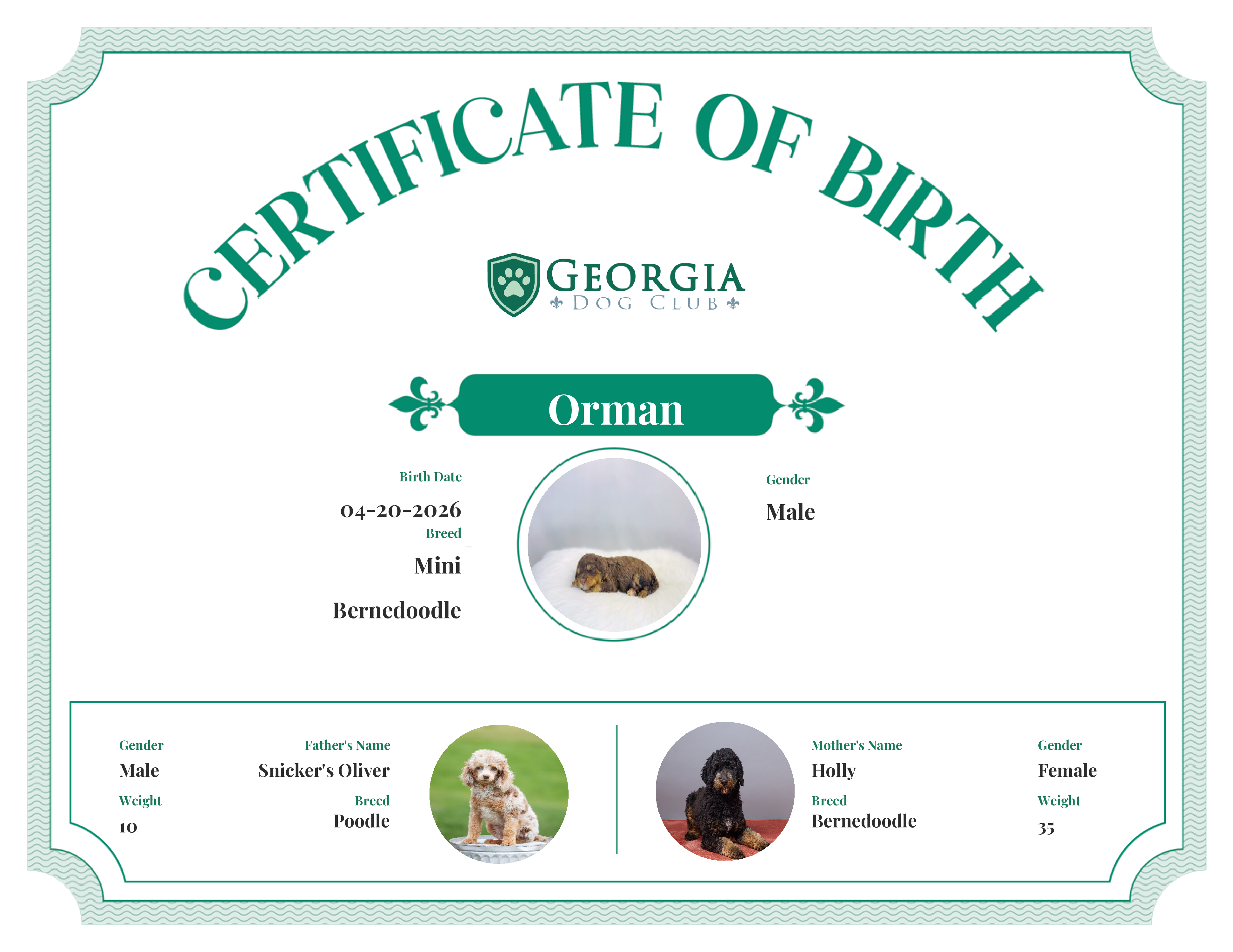 Orman's Birth Certificate