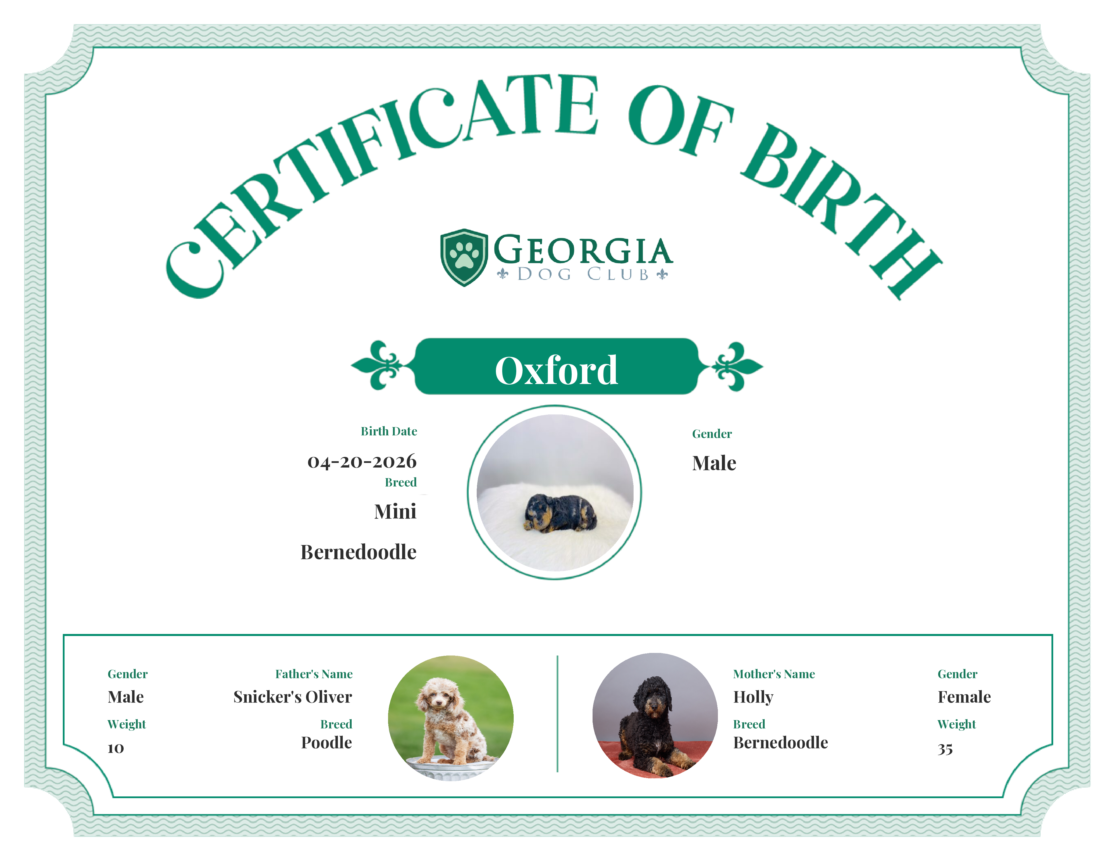 Oxford's Birth Certificate