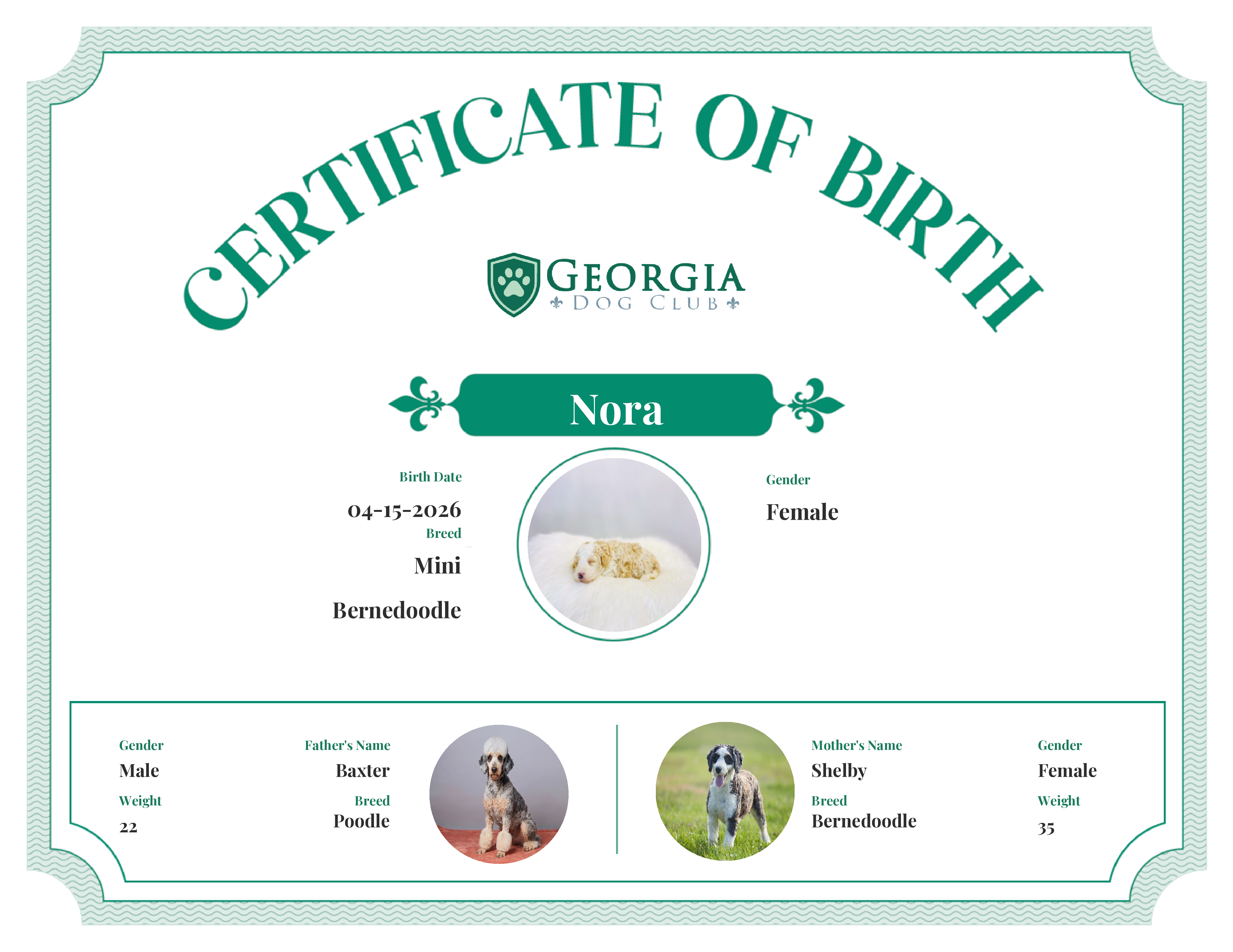 Nora's Birth Certificate