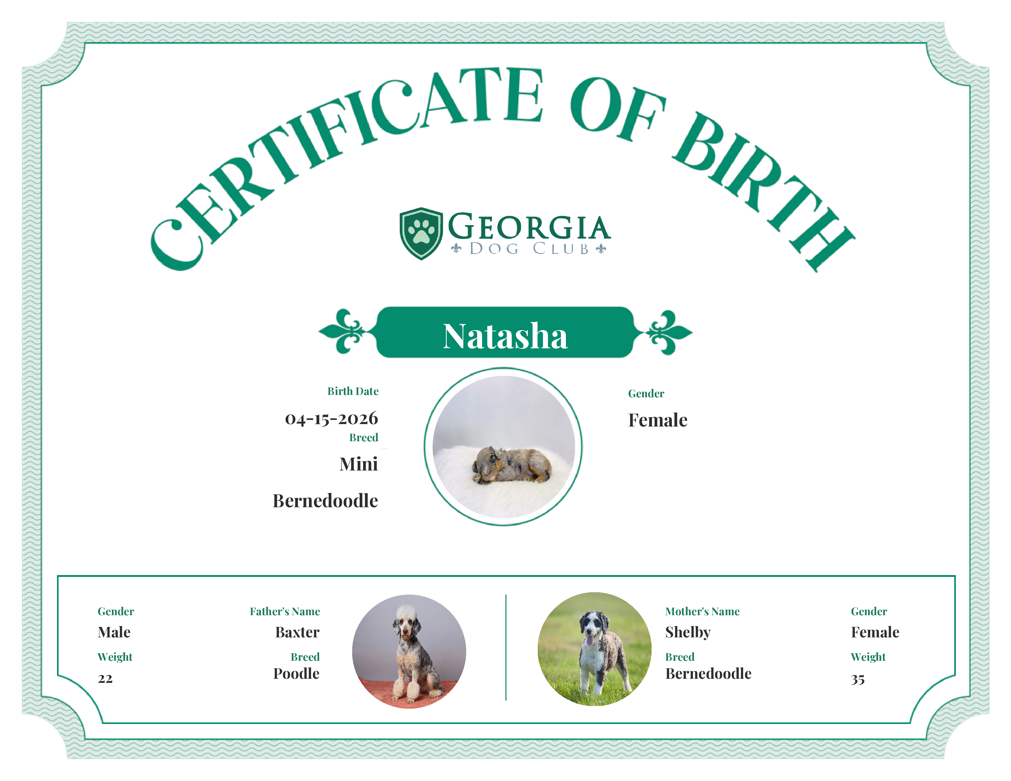 Natasha's Birth Certificate