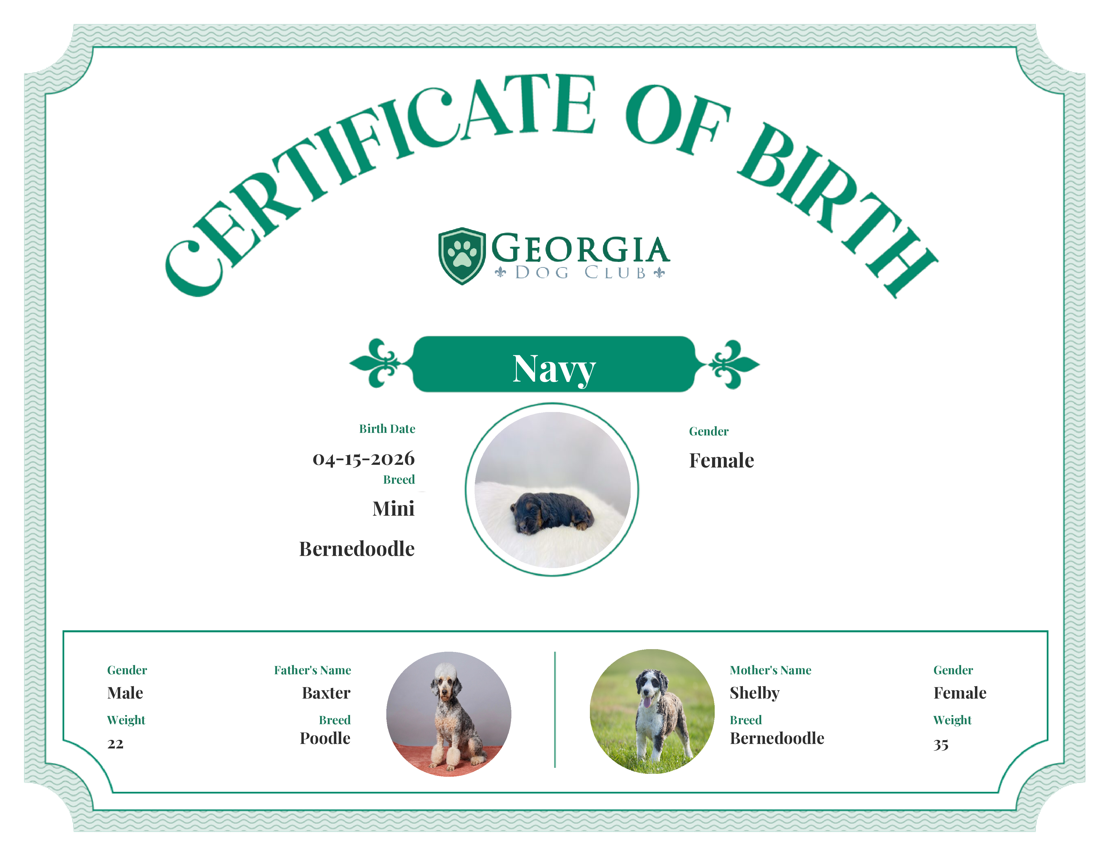 Navy's Birth Certificate