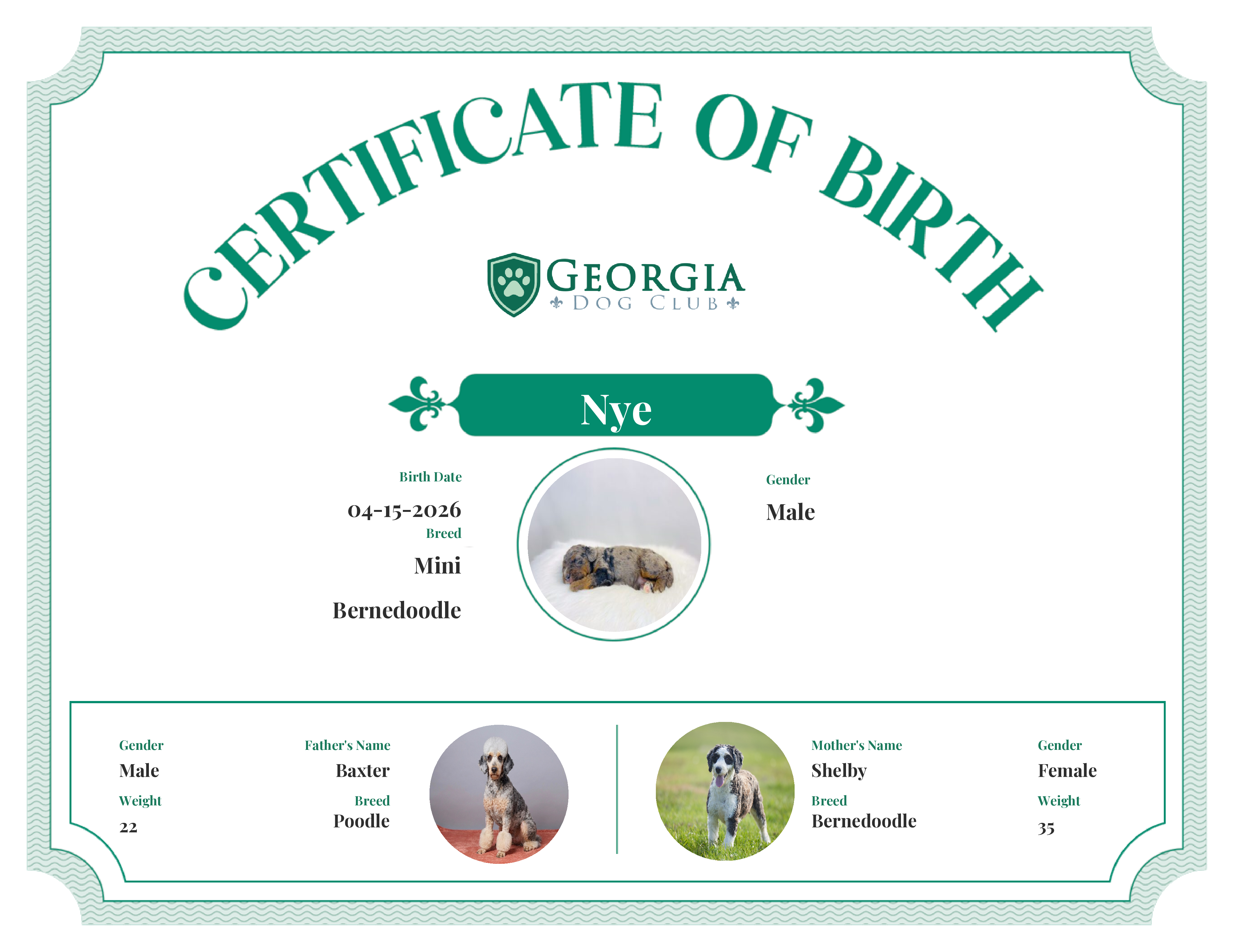 Nye's Birth Certificate