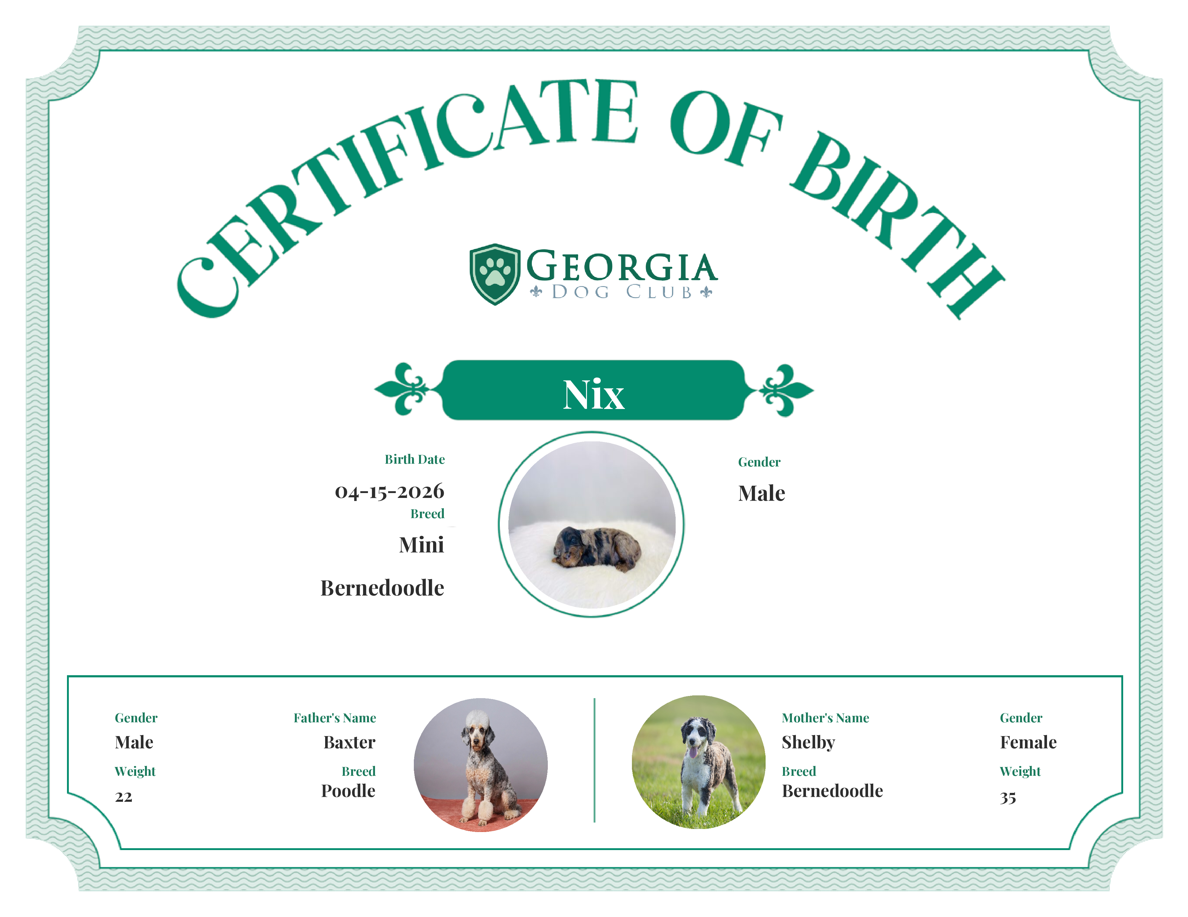 Nix's Birth Certificate
