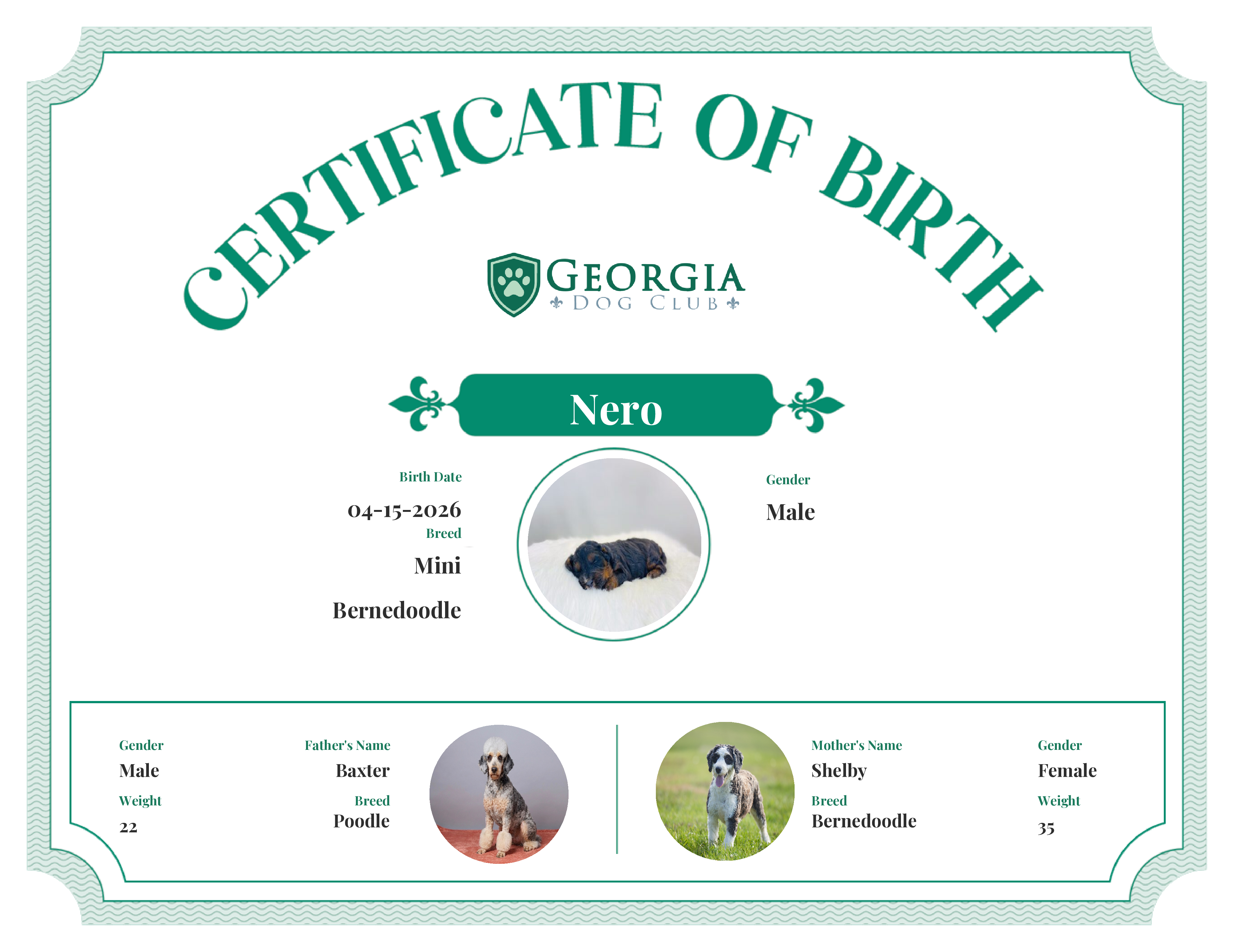 Nero's Birth Certificate