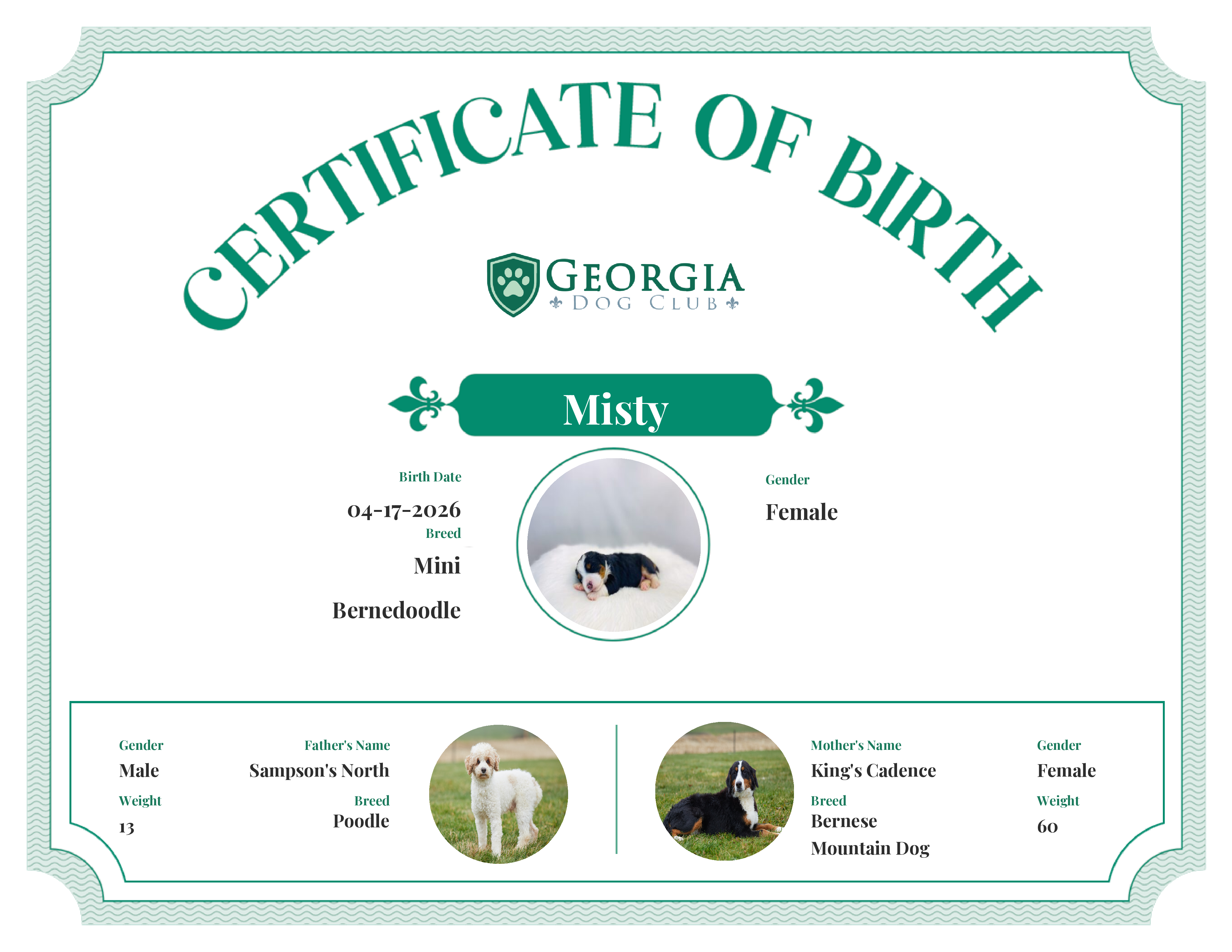Misty's Birth Certificate