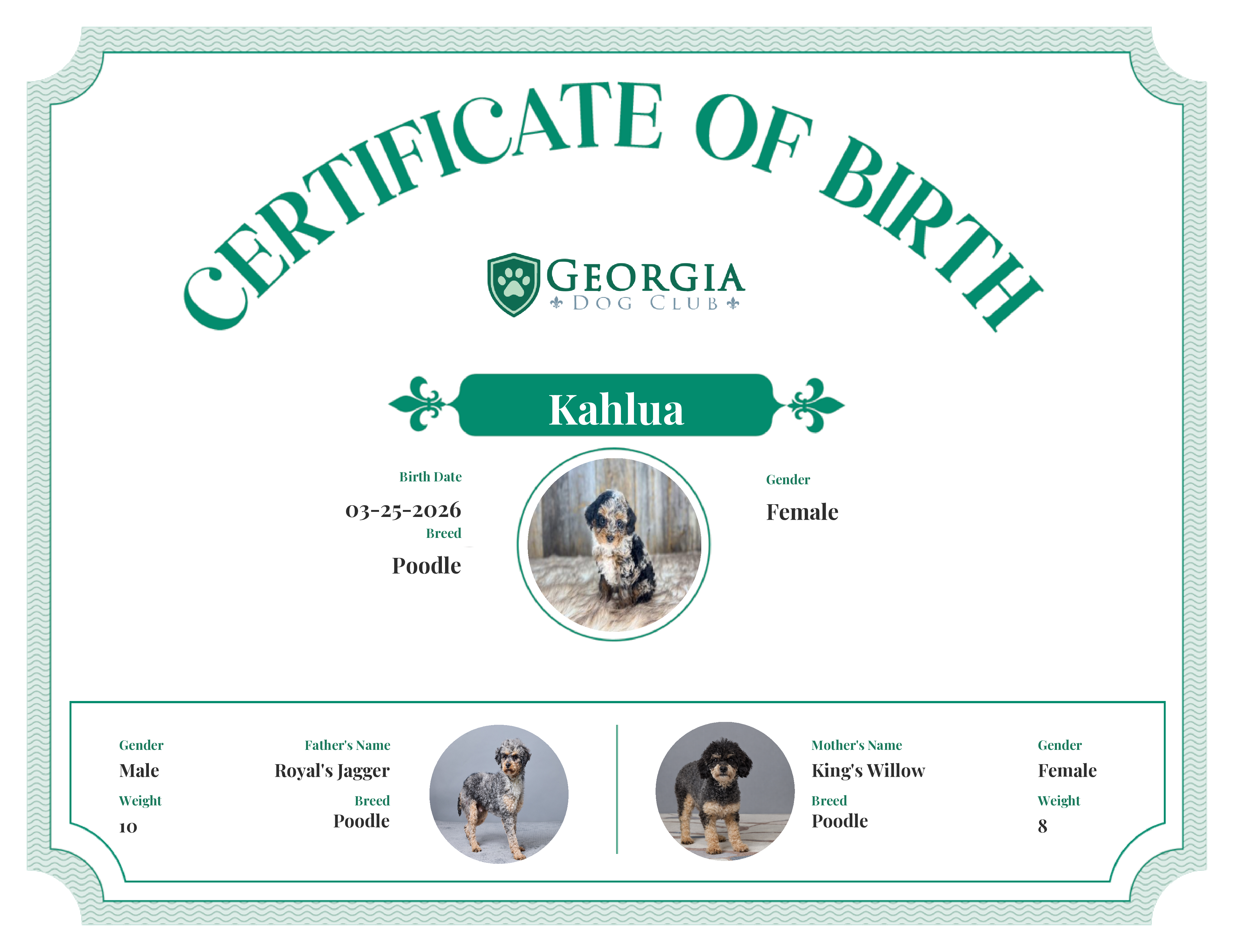 Kahlua's Birth Certificate