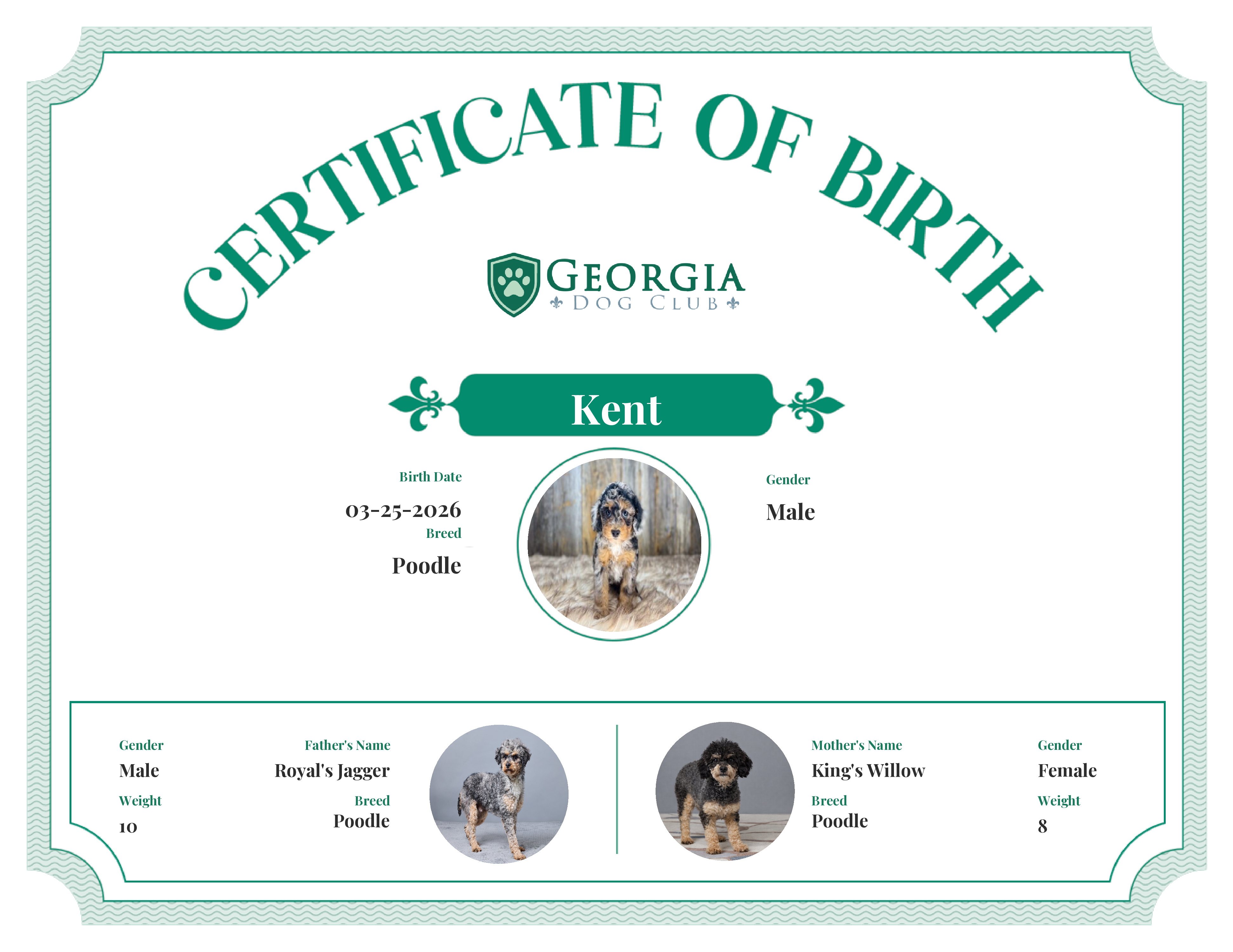 Kent's Birth Certificate