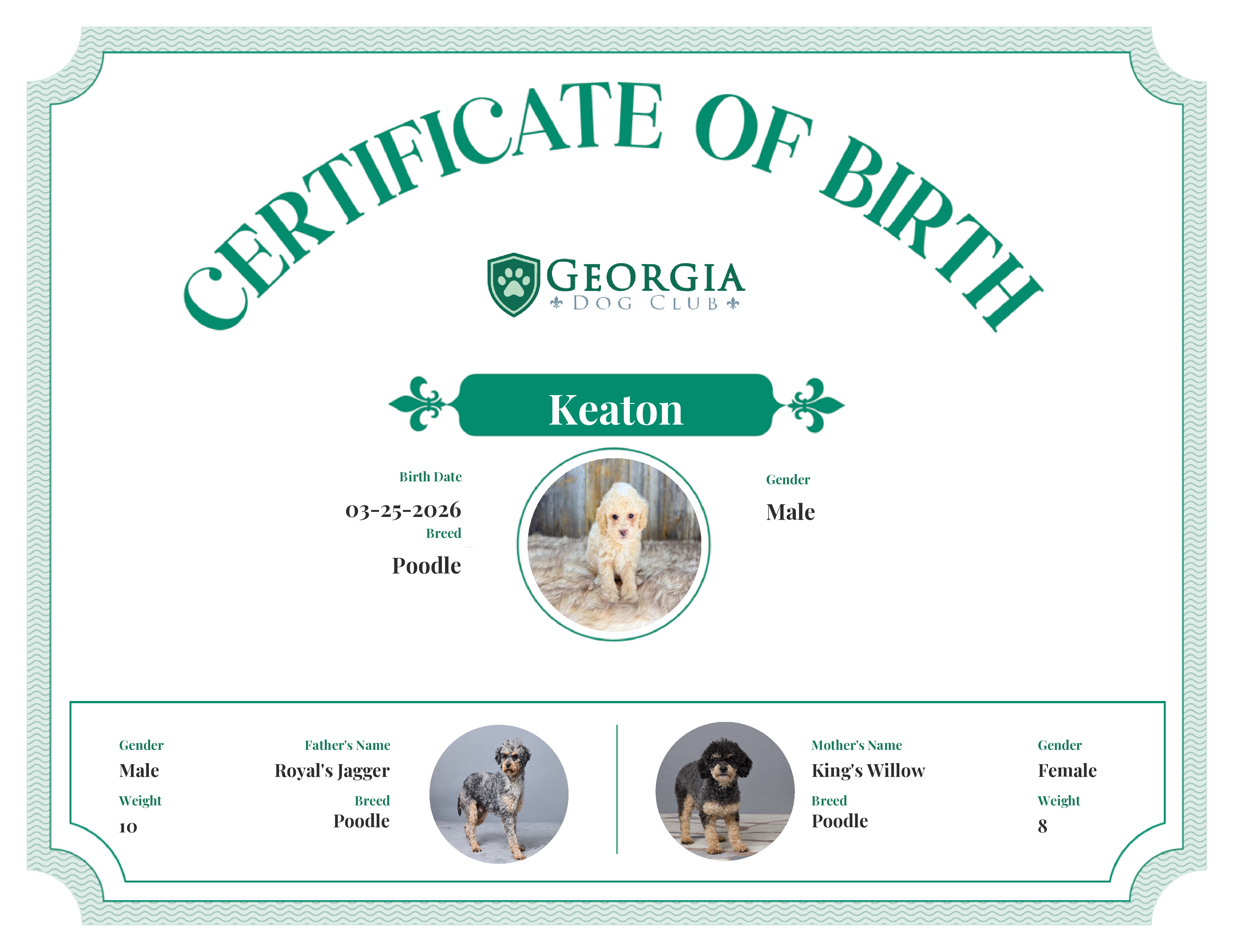 Keaton's Birth Certificate