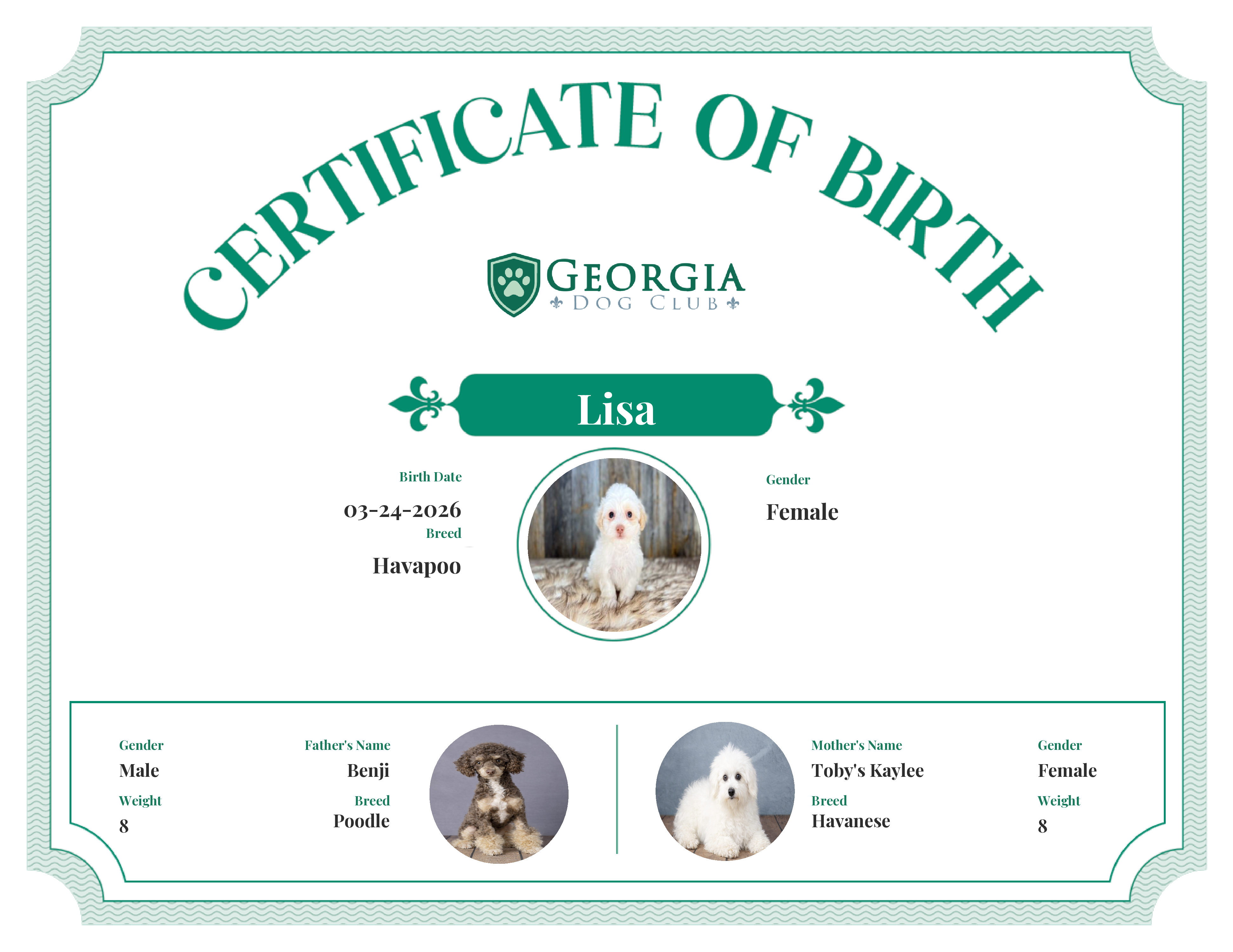 Lisa's Birth Certificate