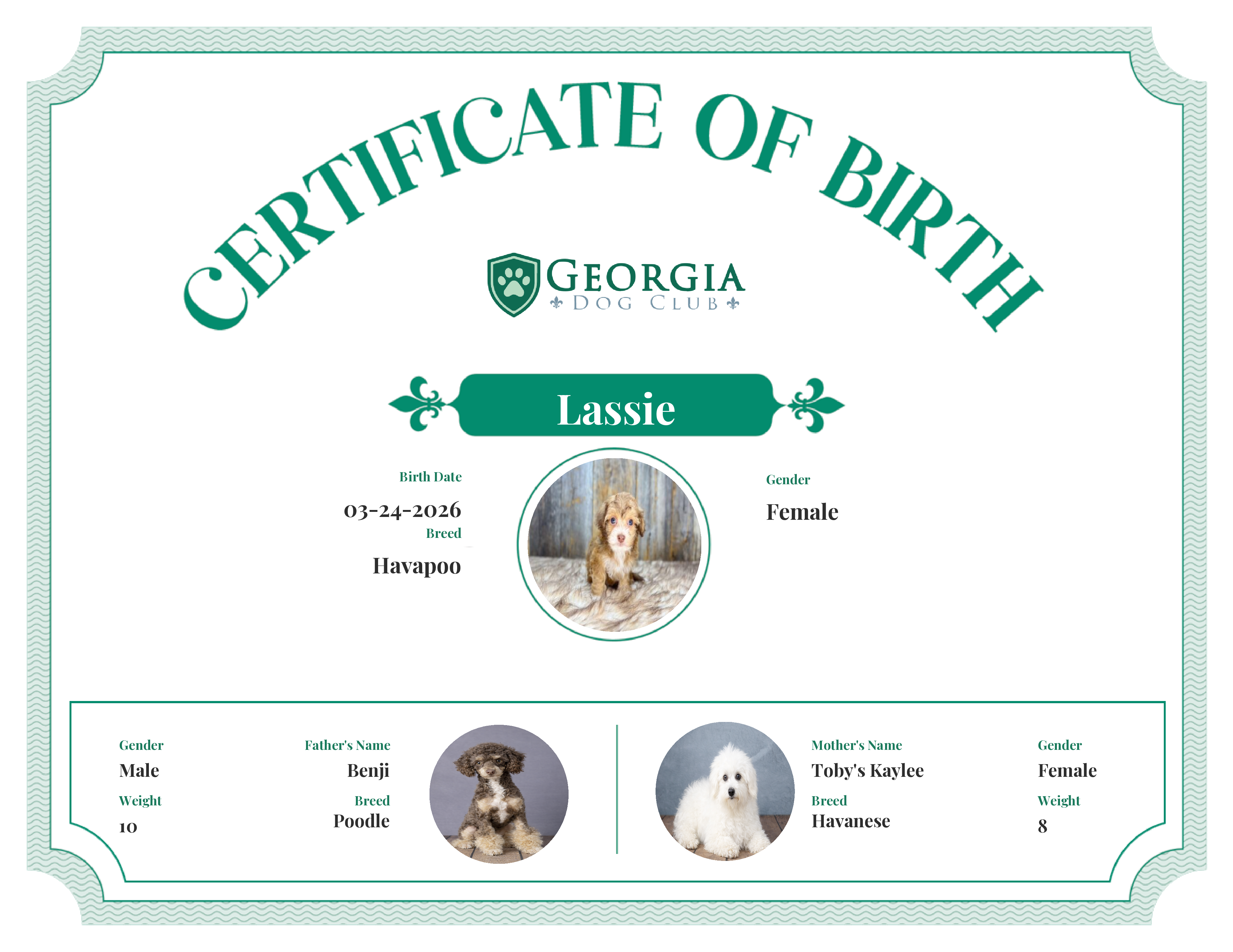 Lassie's Birth Certificate