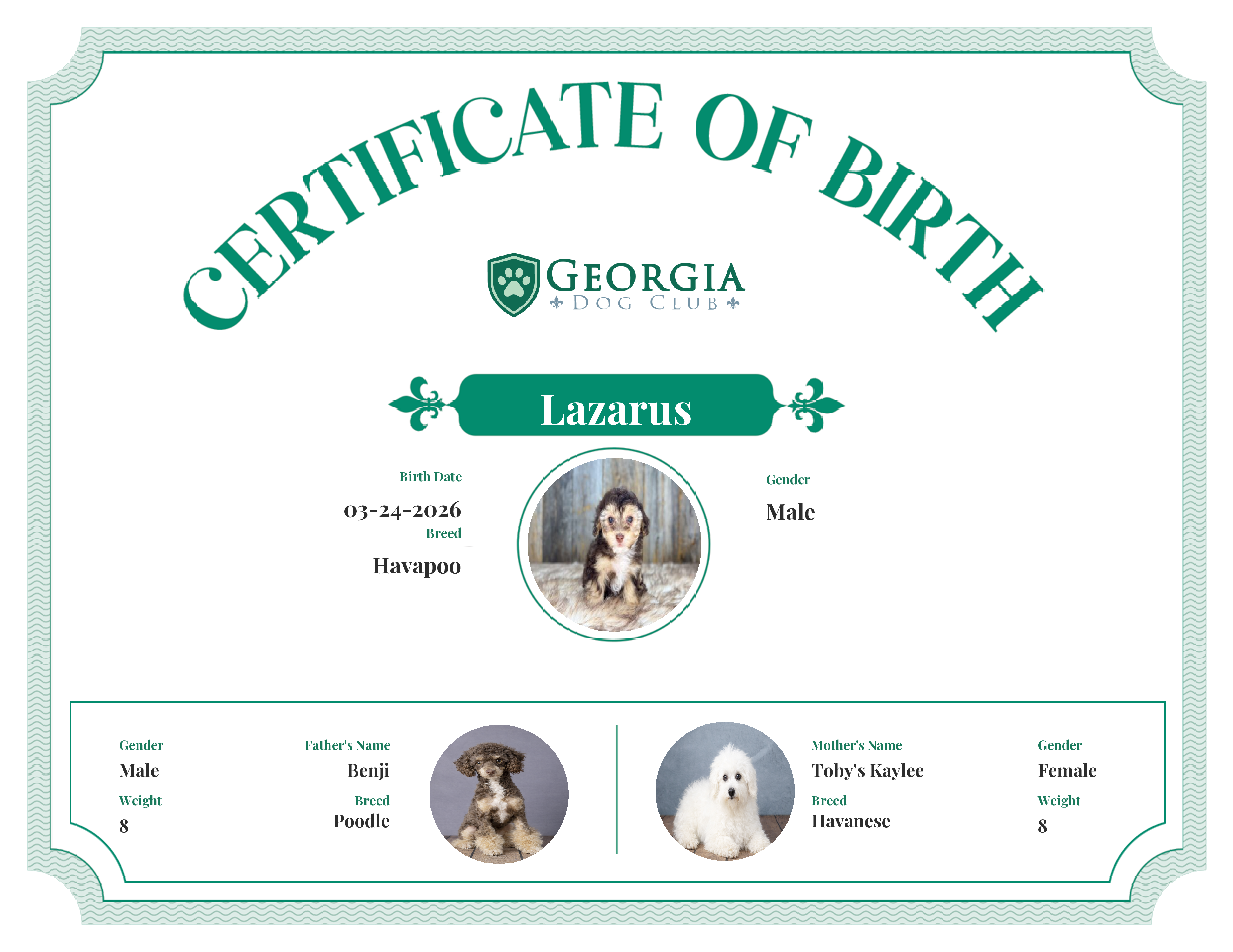 Lazarus's Birth Certificate