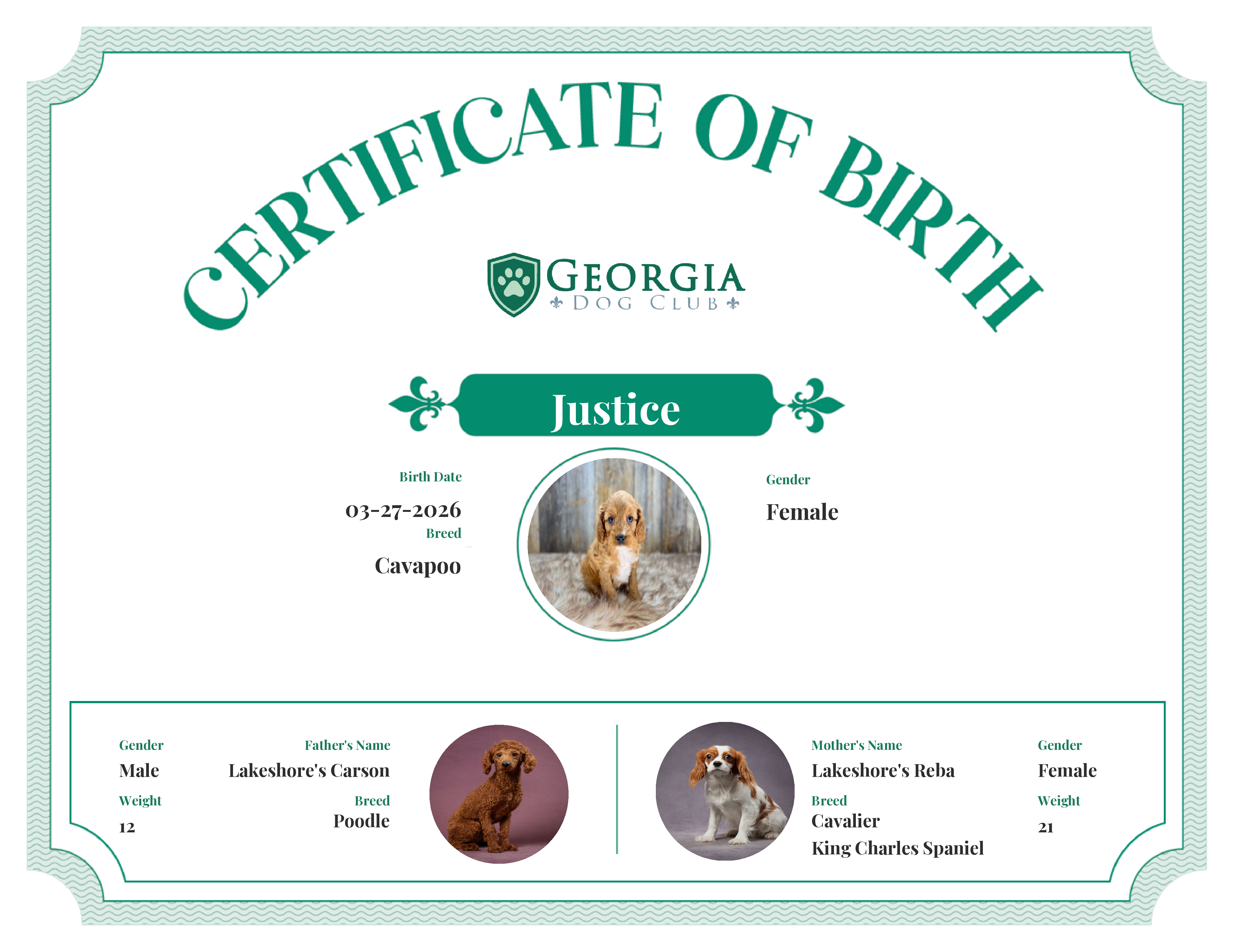 Justice's Birth Certificate