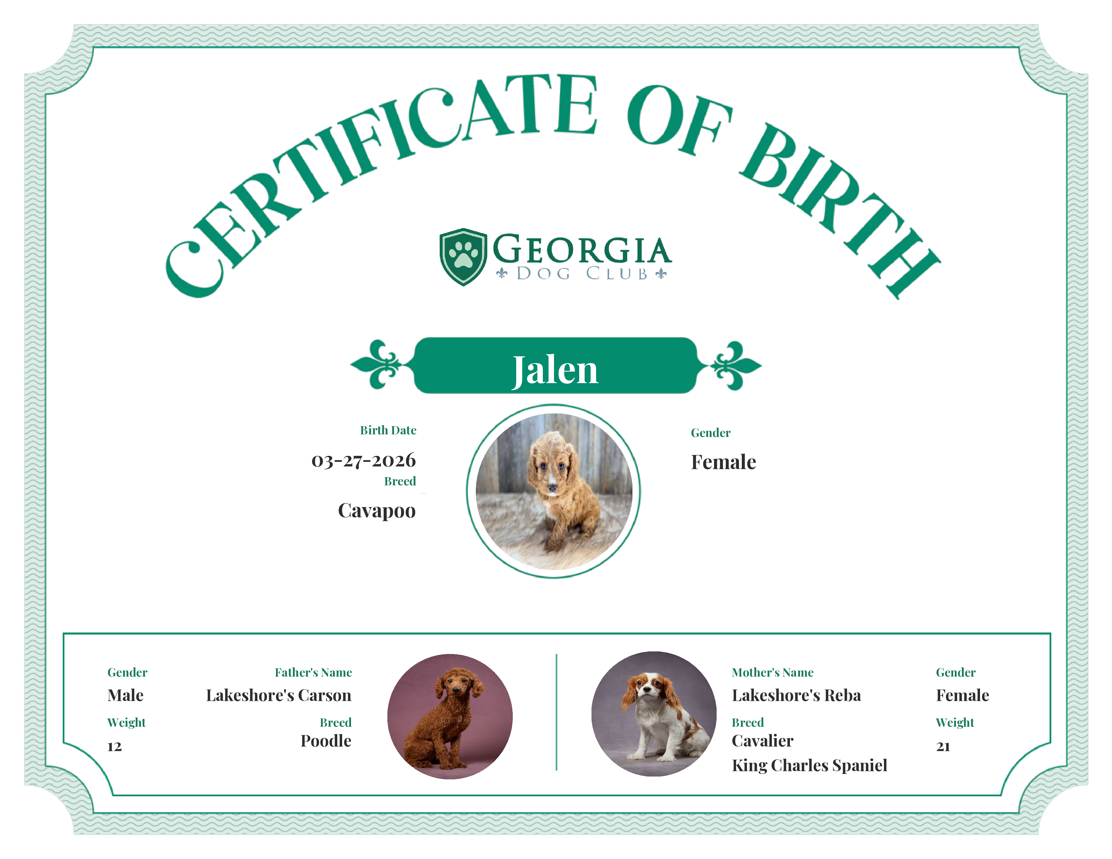 Jalen's Birth Certificate
