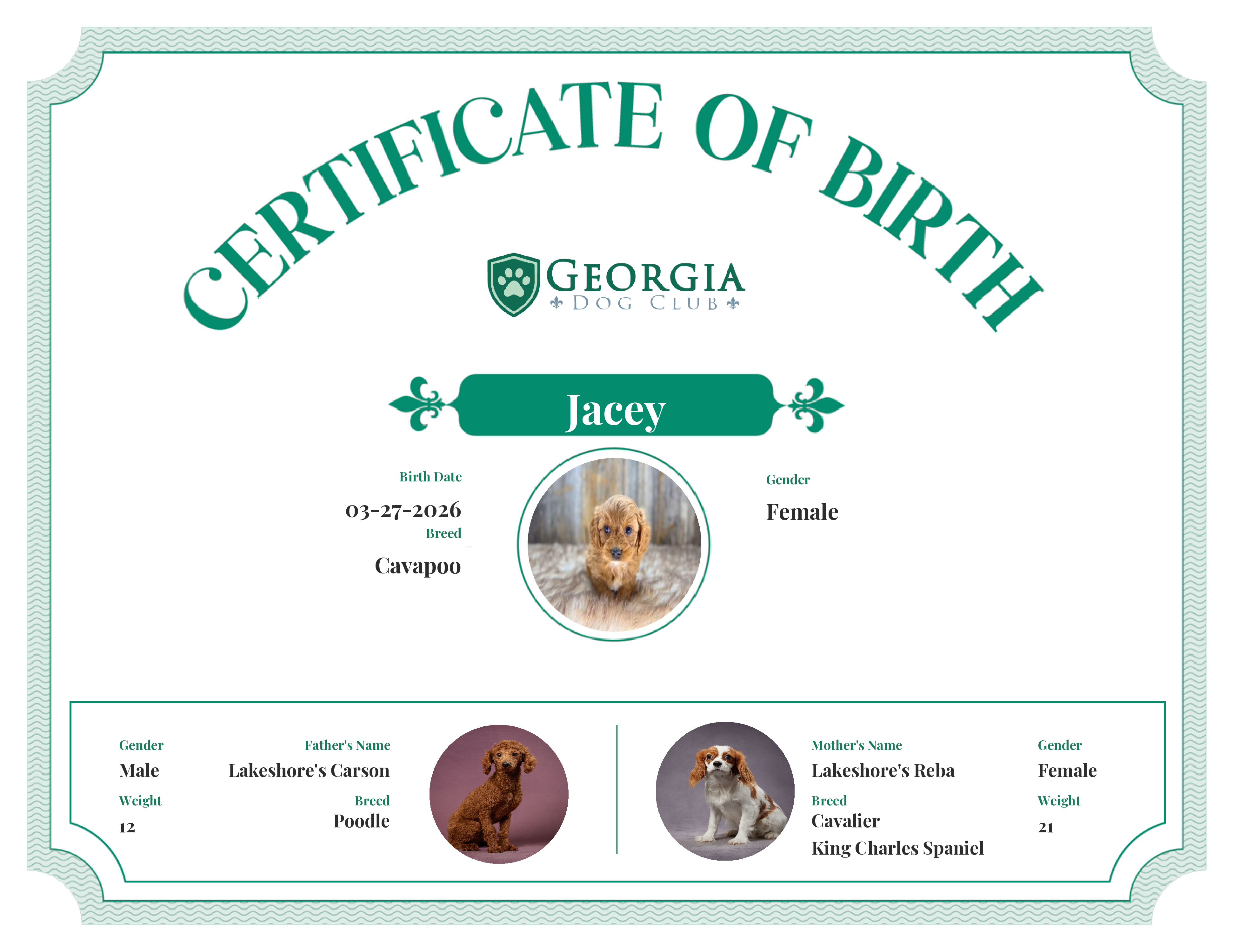 Jacey's Birth Certificate