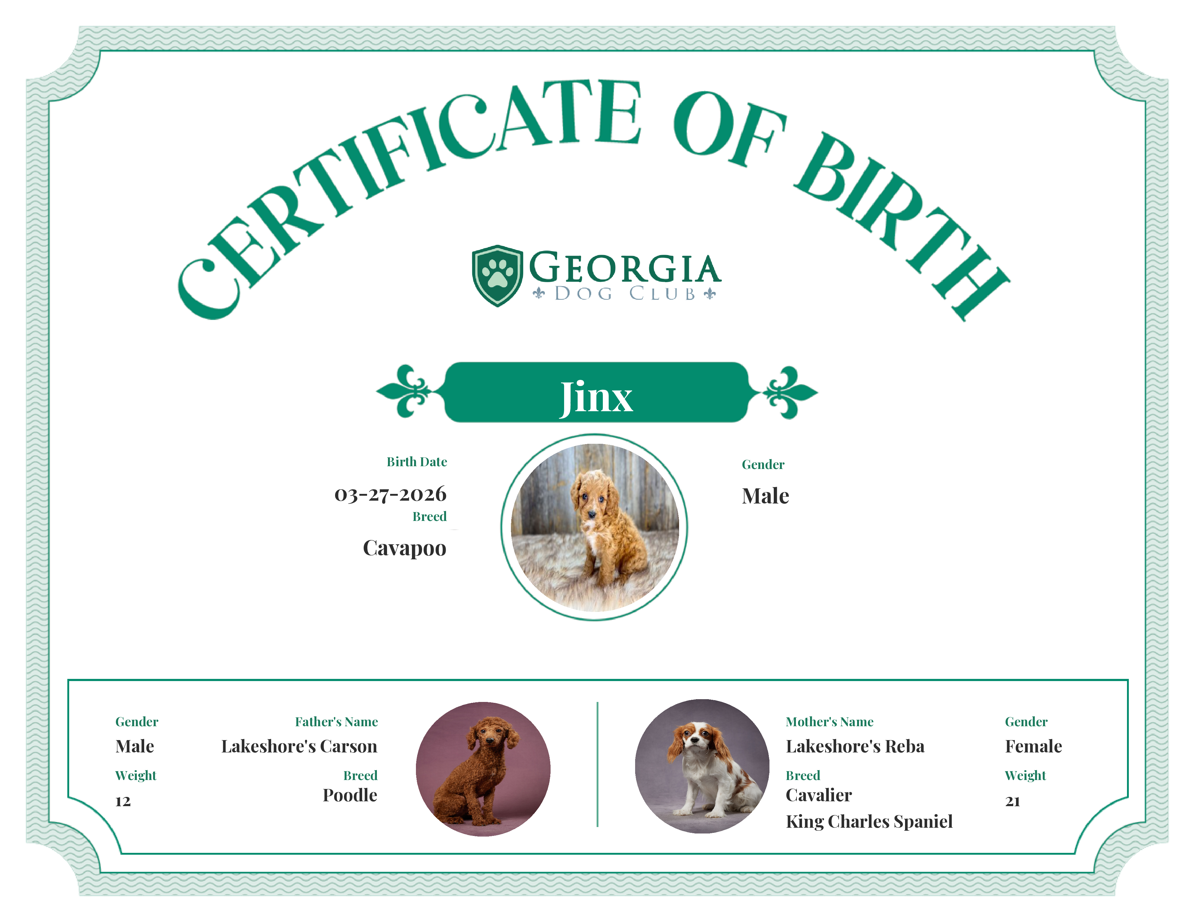 Jinx's Birth Certificate
