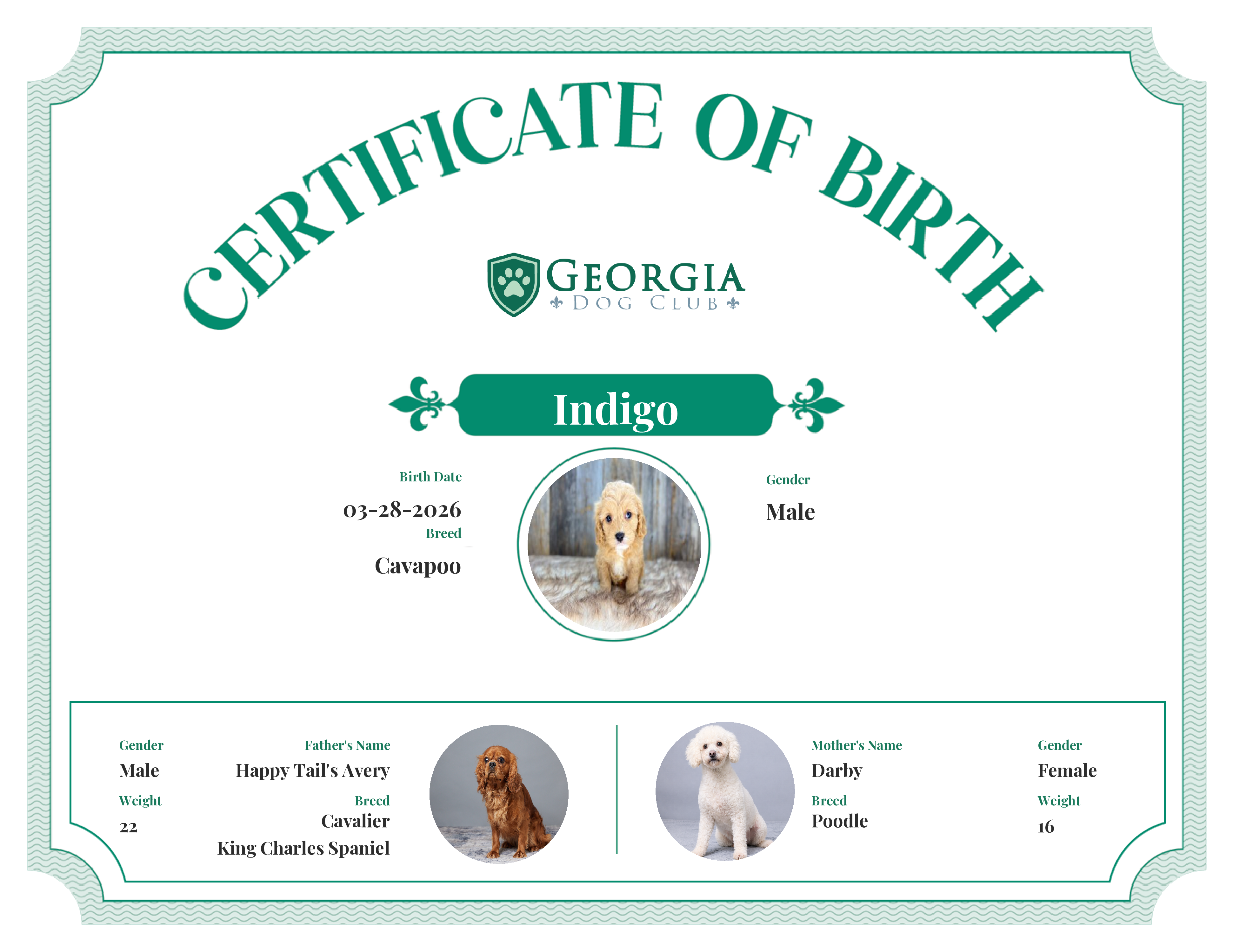 Indigo's Birth Certificate
