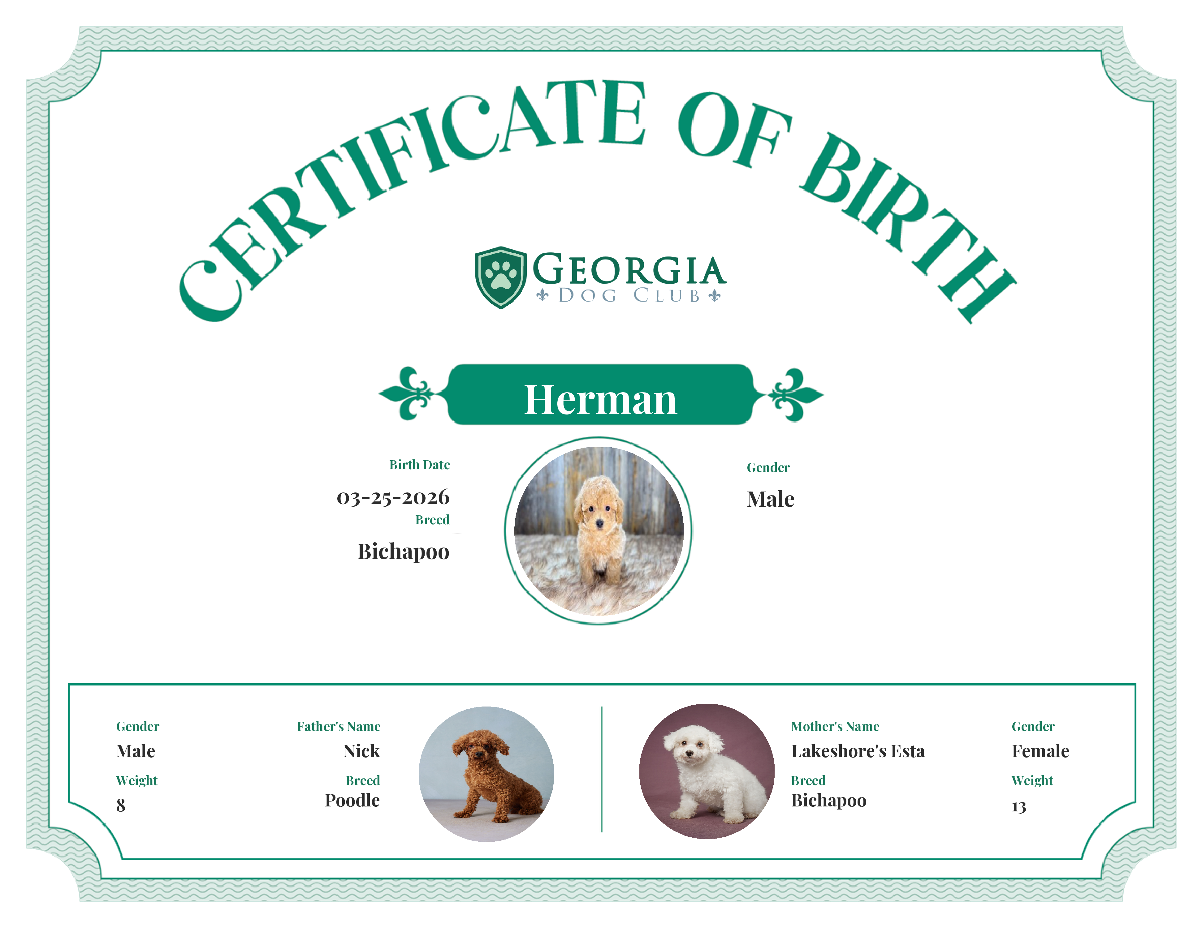 Herman's Birth Certificate