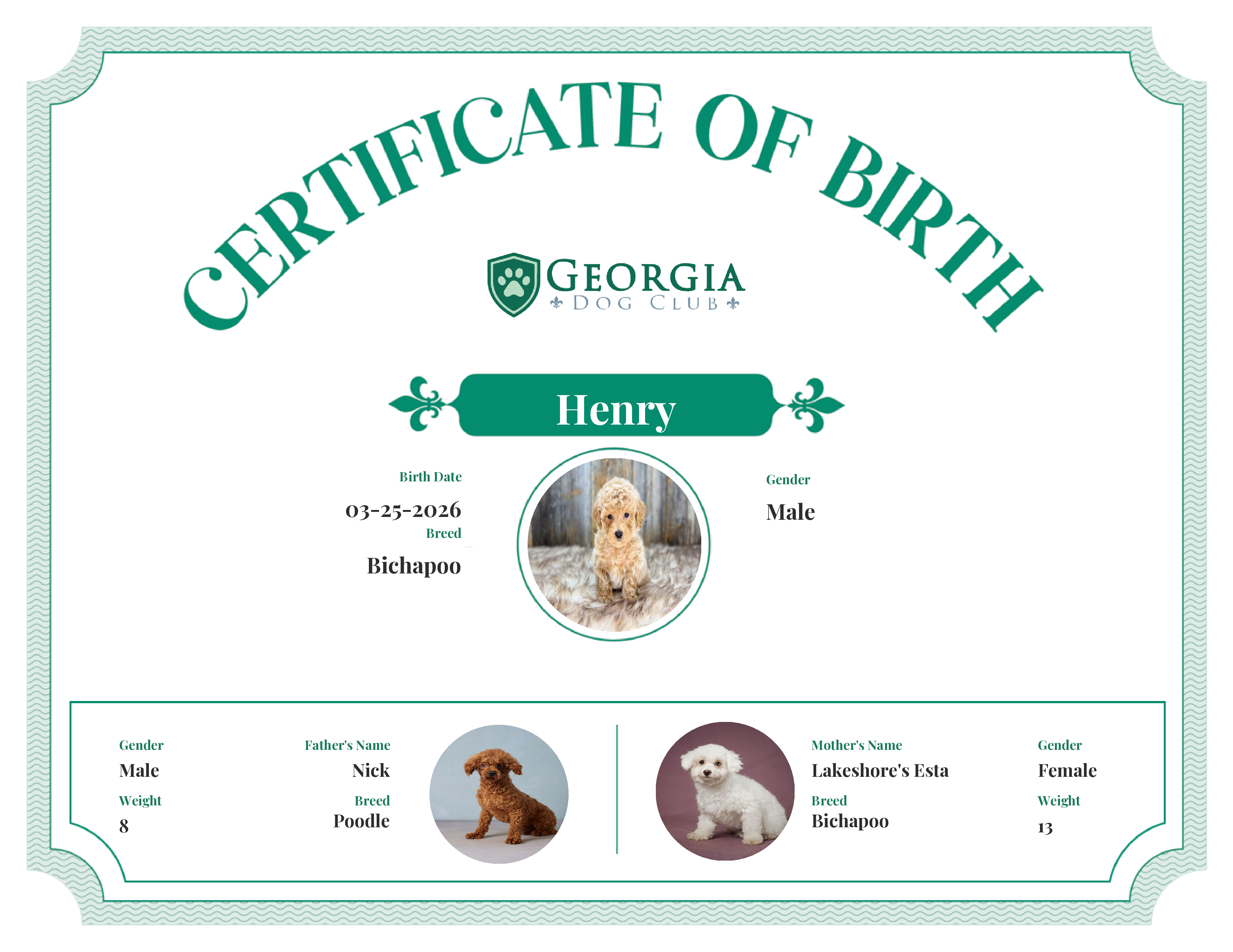 Henry's Birth Certificate