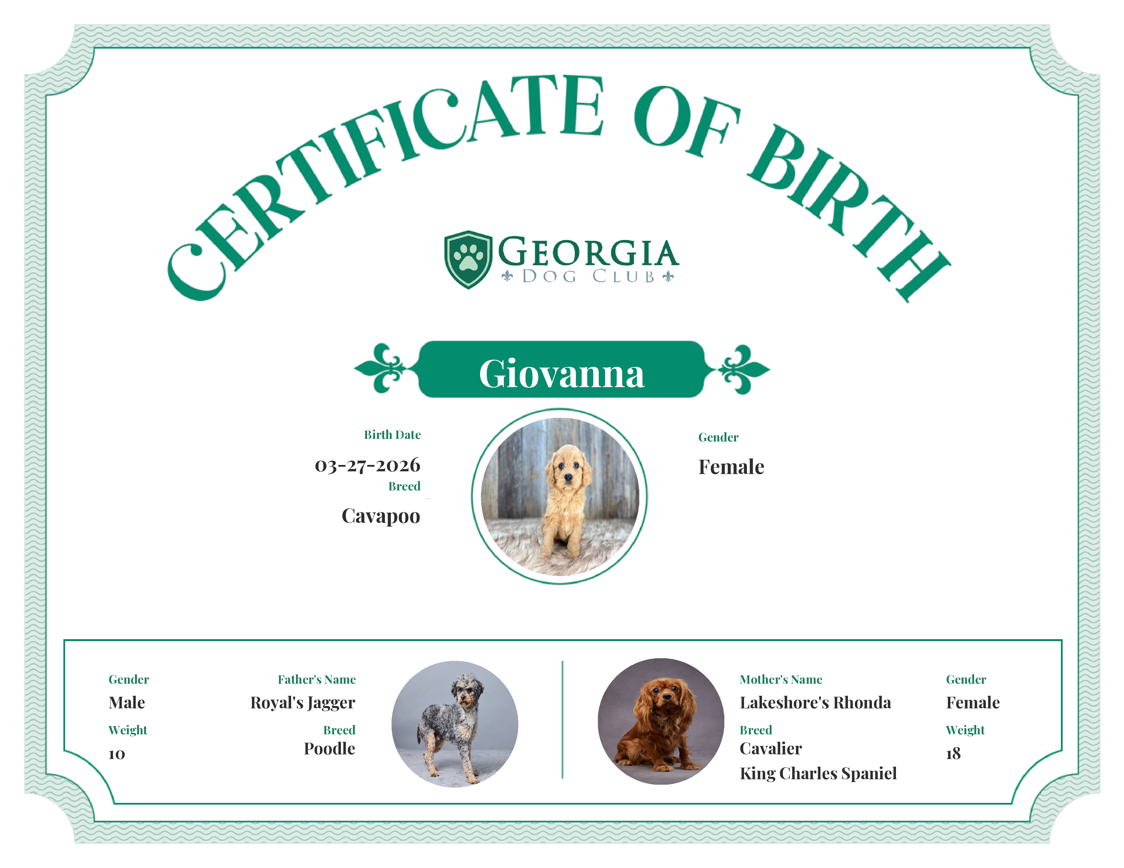 Giovanna's Birth Certificate