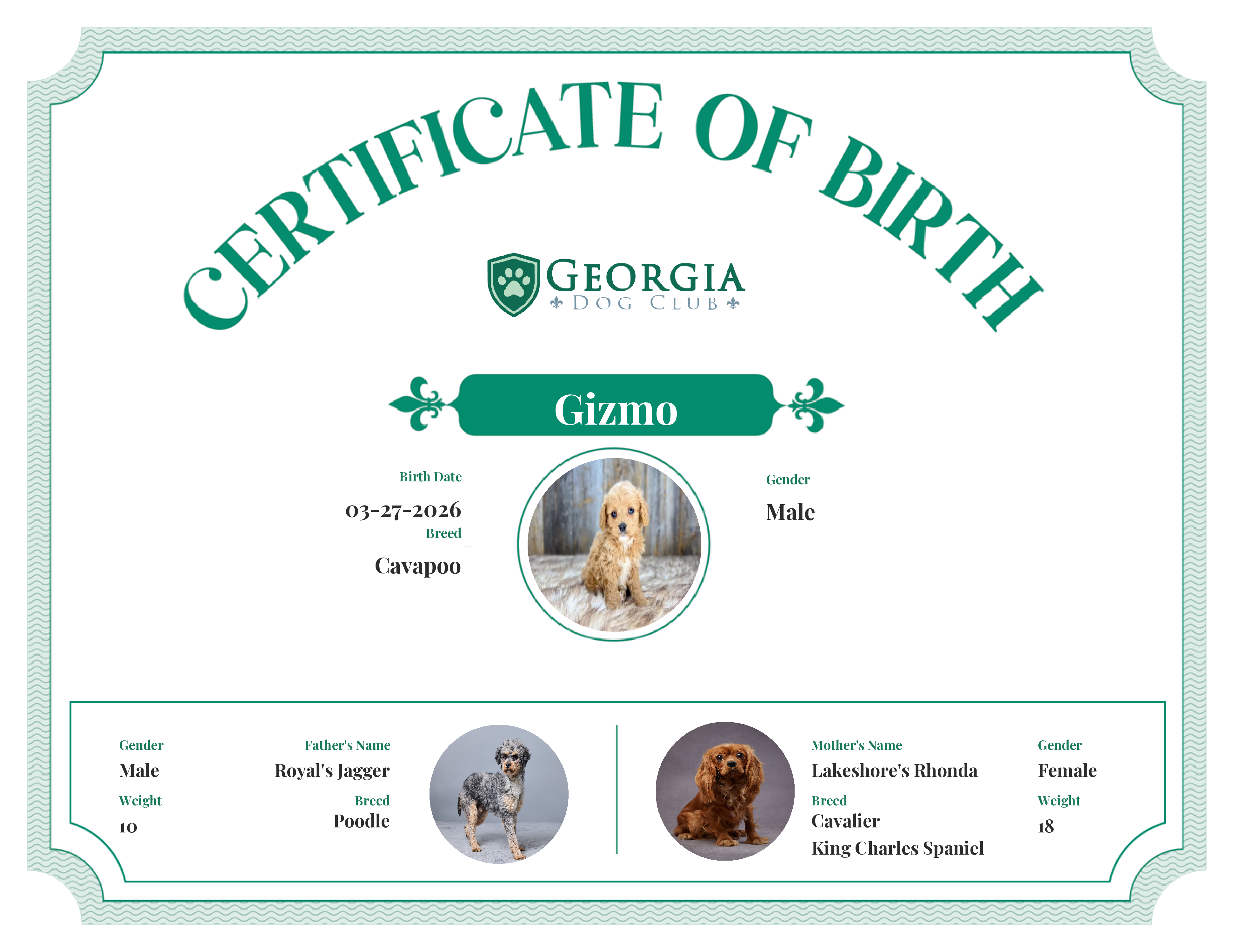 Gizmo's Birth Certificate