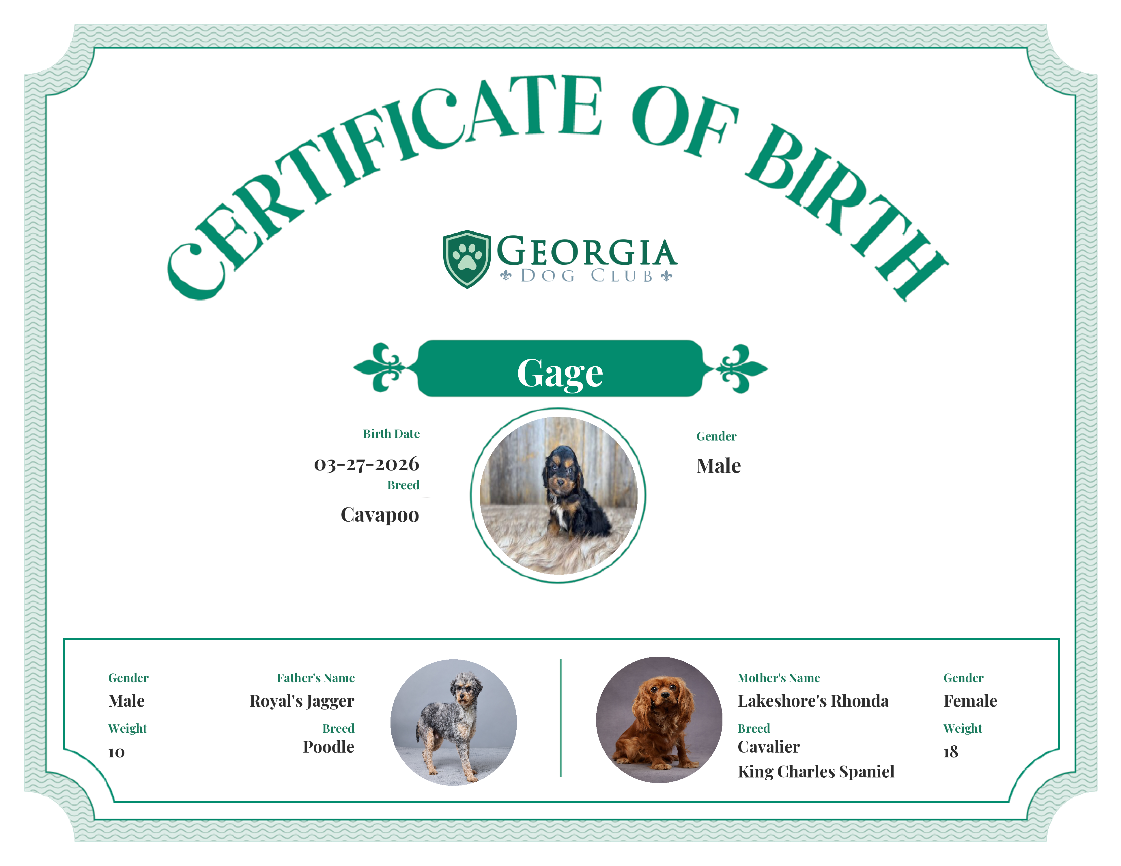 Gage's Birth Certificate