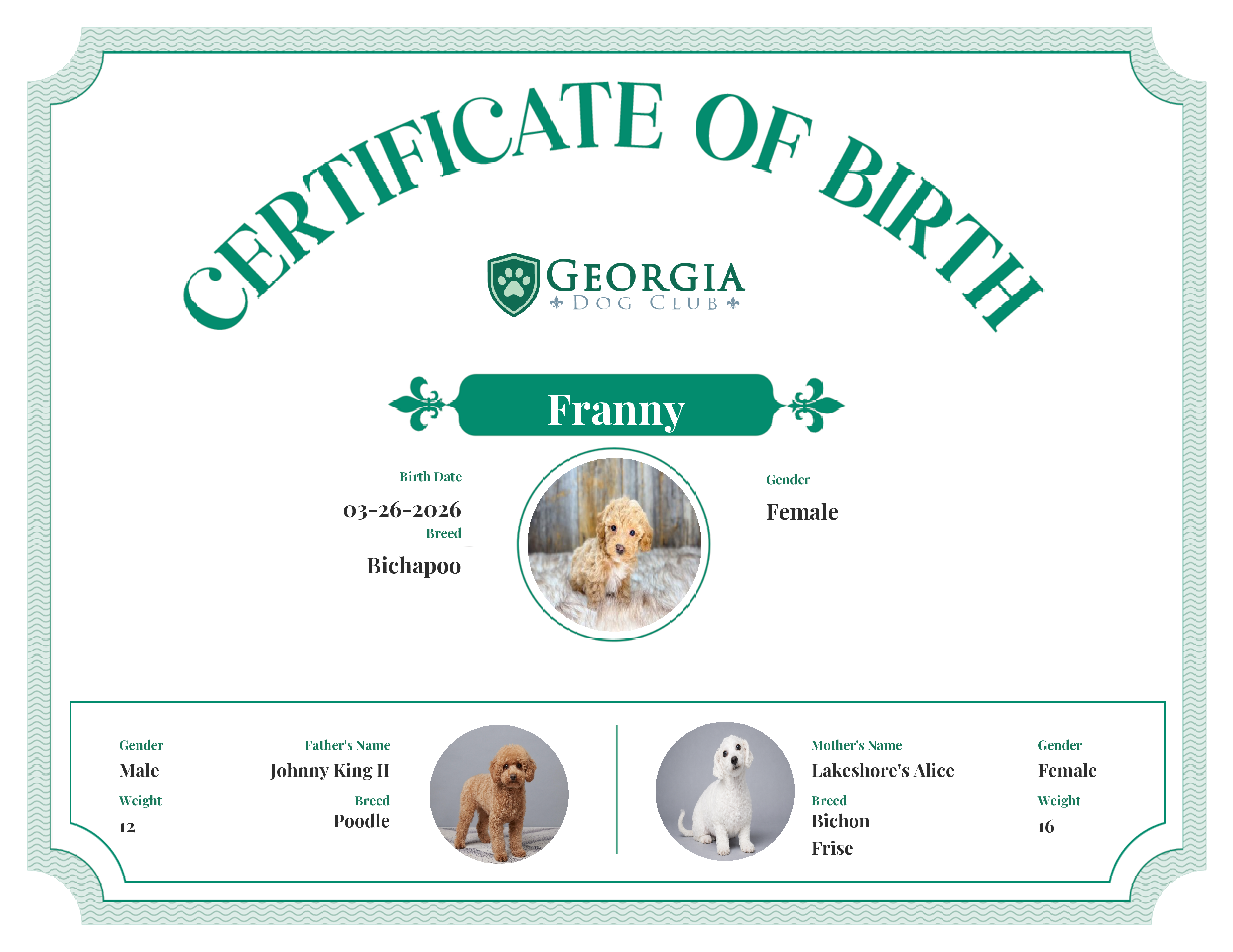 Franny's Birth Certificate