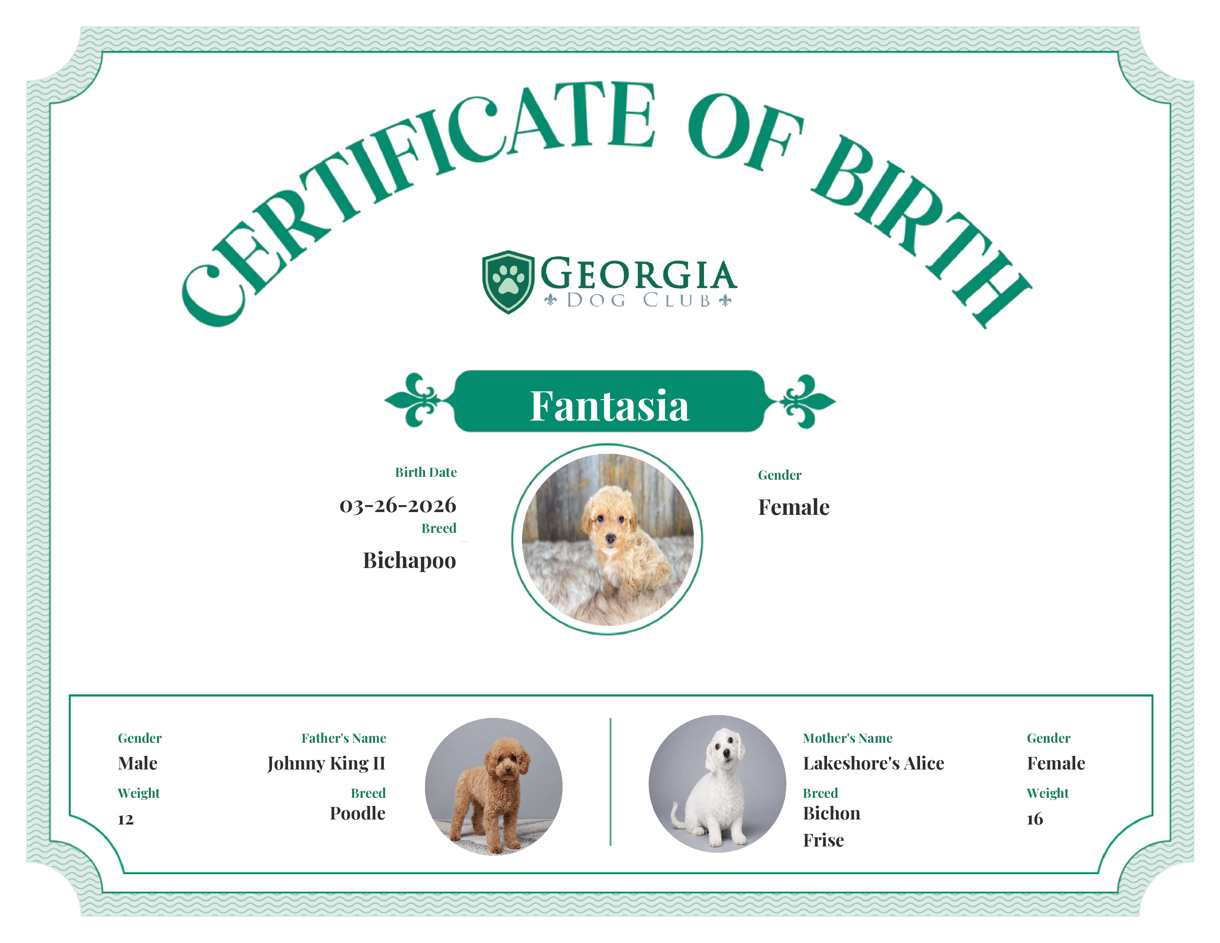 Fantasia's Birth Certificate