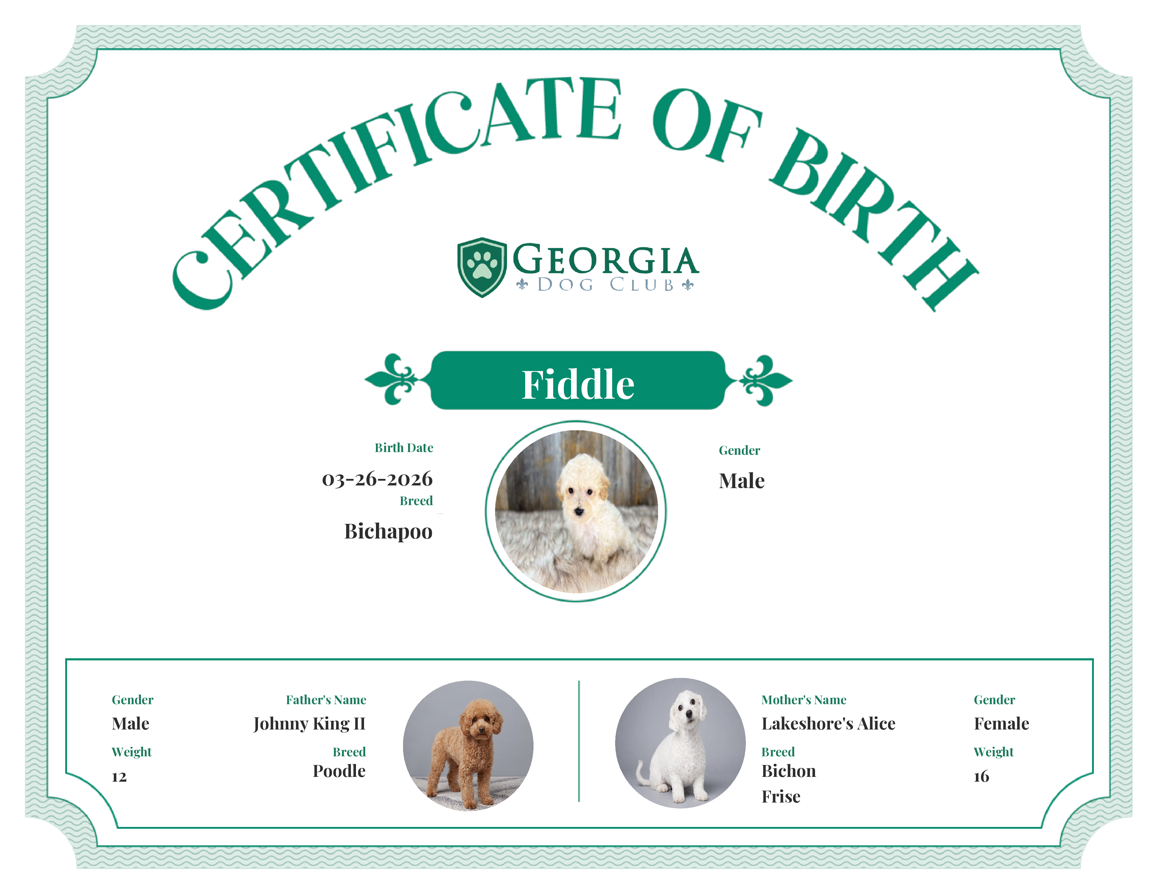 Fiddle's Birth Certificate