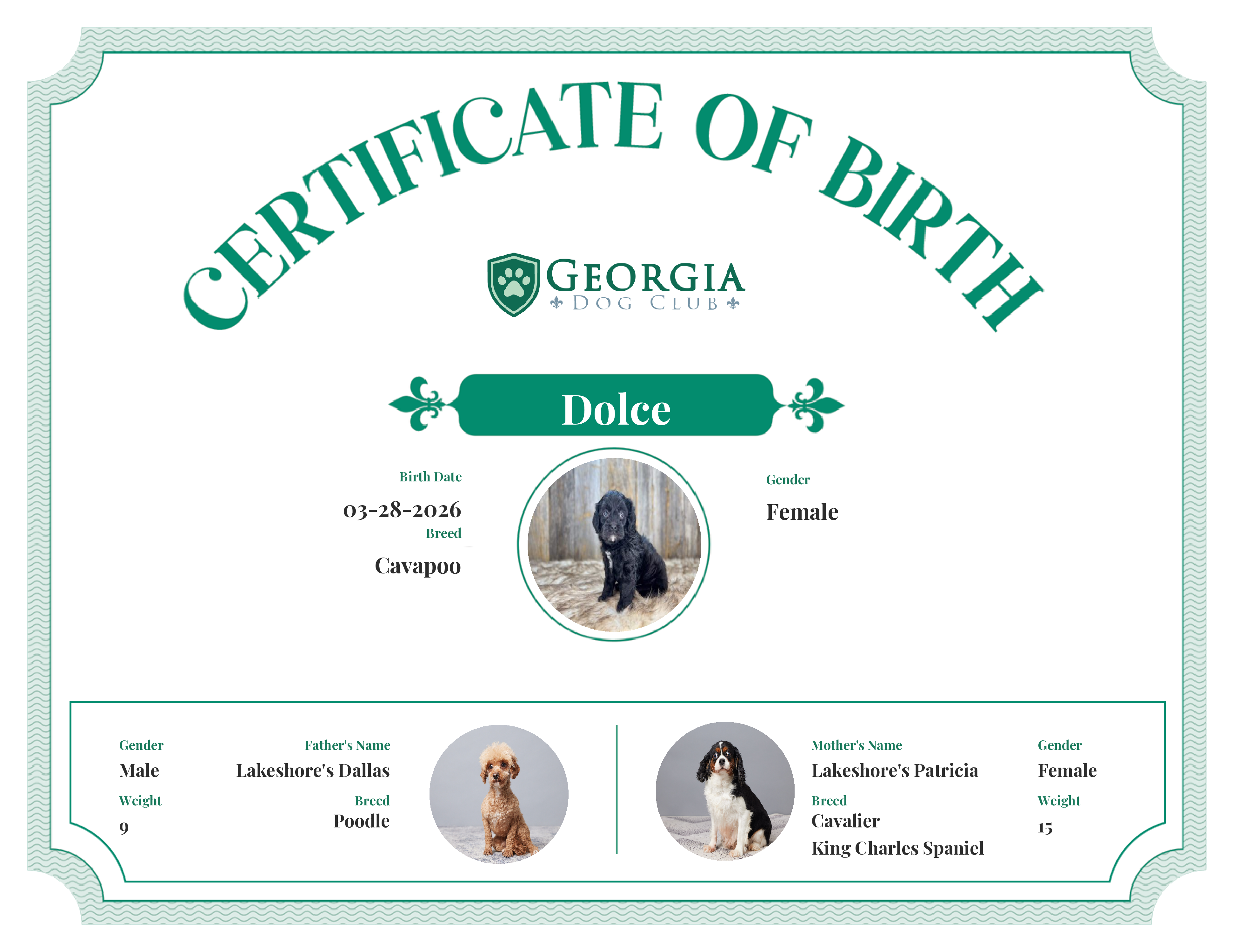 Dolce's Birth Certificate
