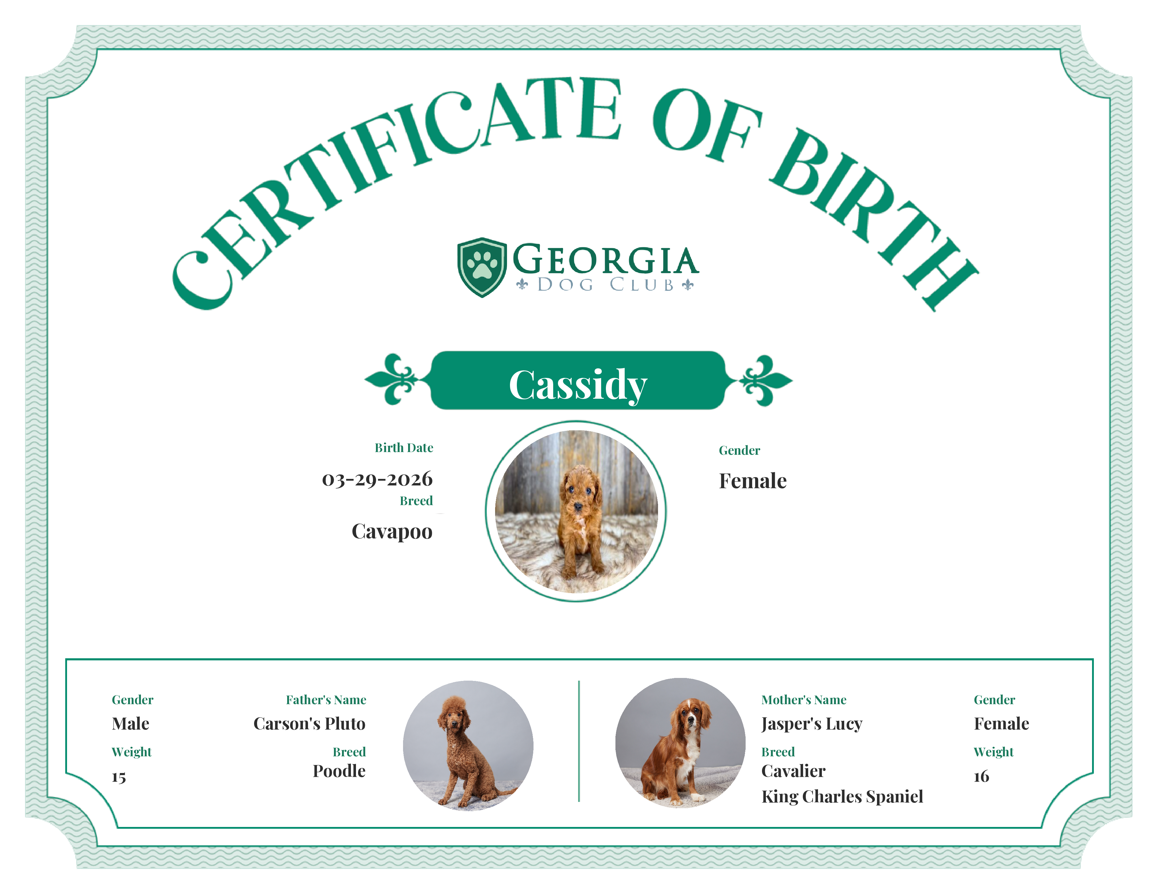 Cassidy's Birth Certificate