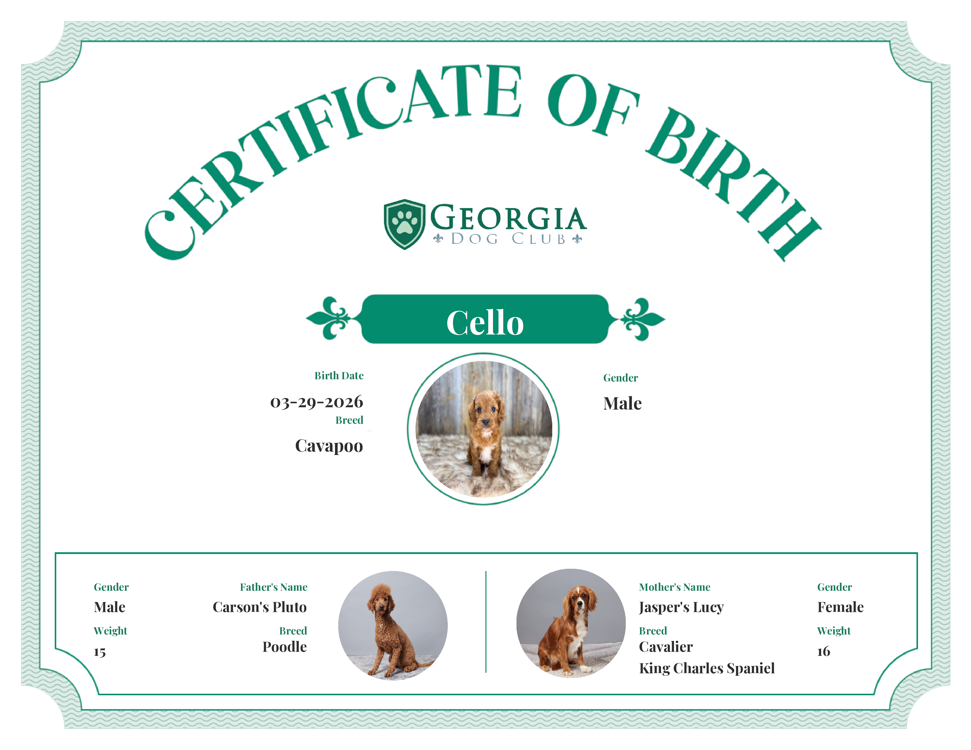 Cello's Birth Certificate