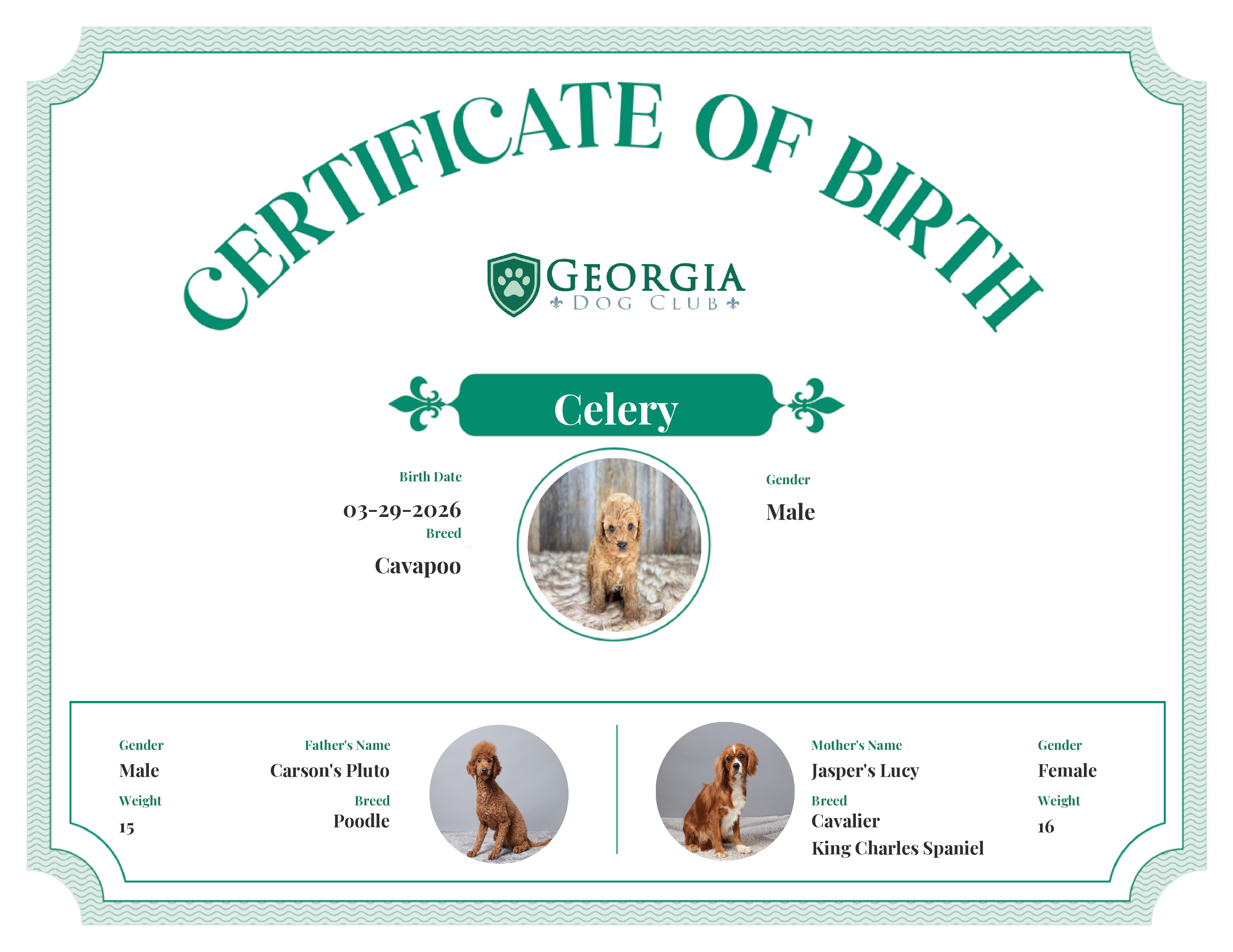Celery's Birth Certificate