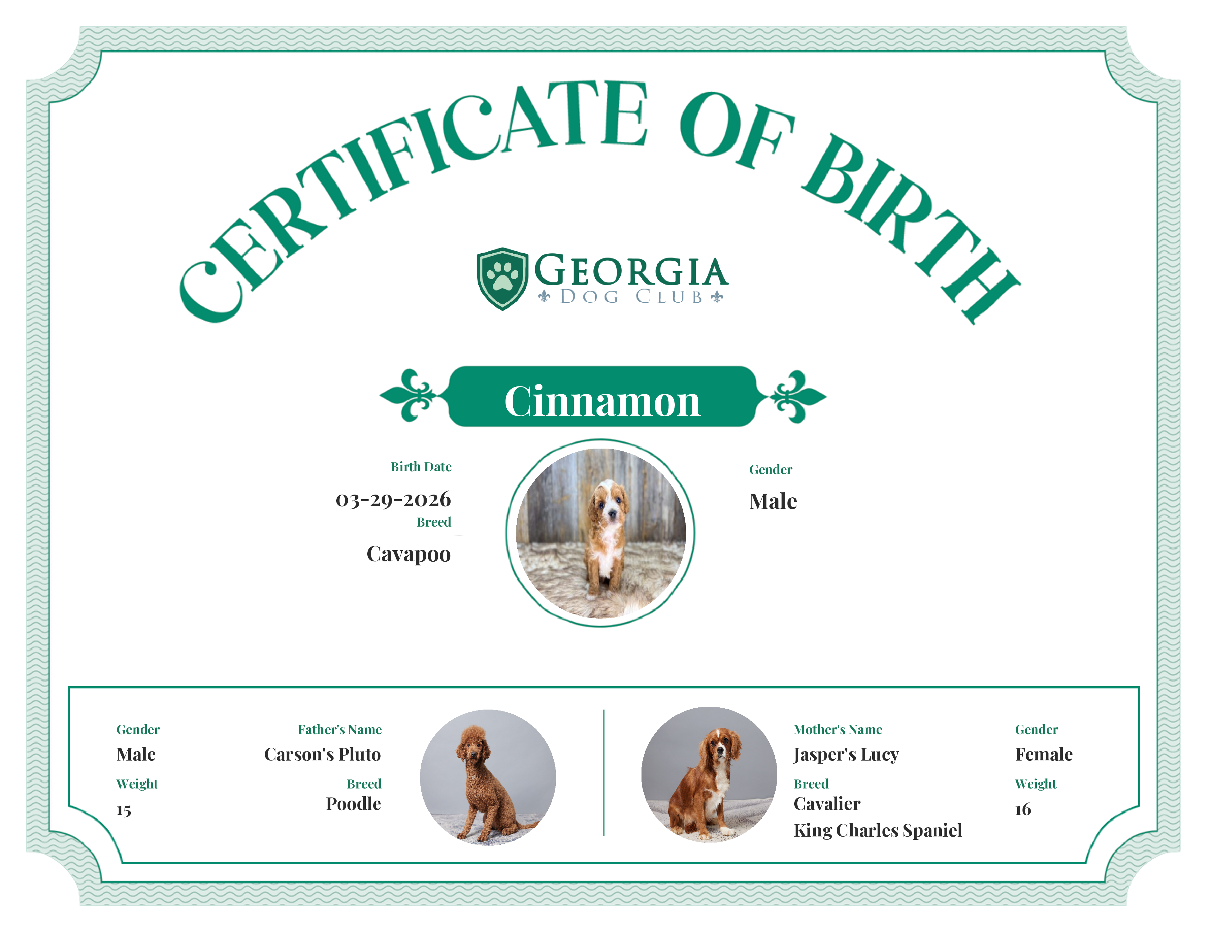 Cinnamon's Birth Certificate