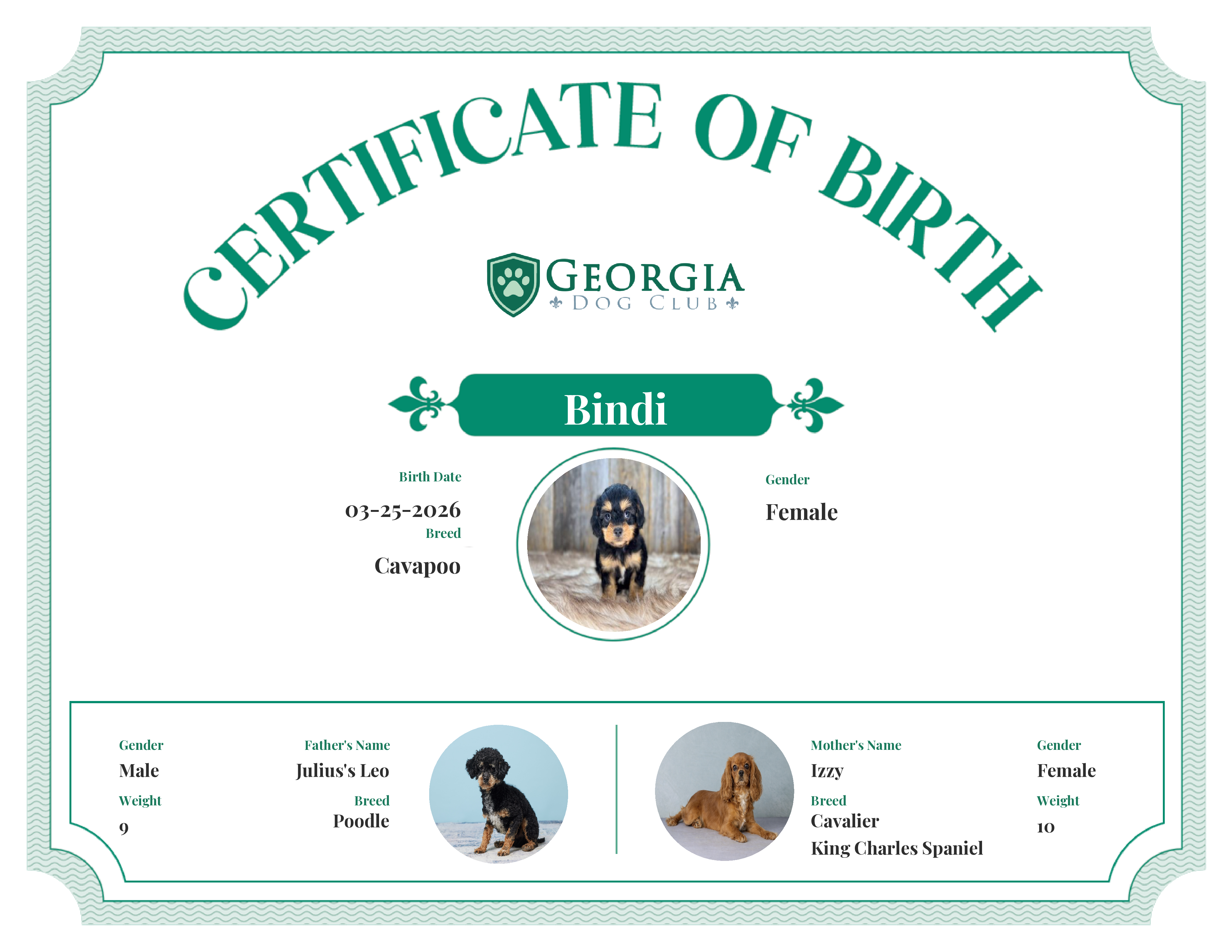 Bindi's Birth Certificate