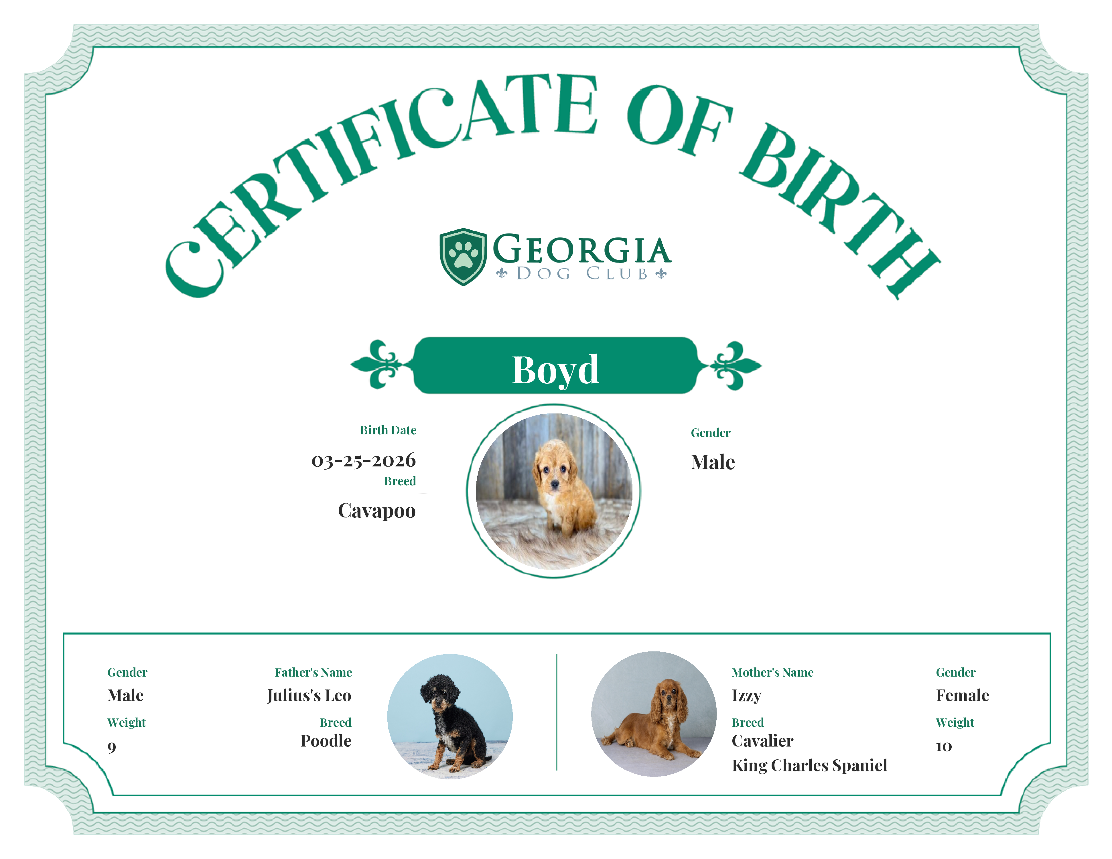Boyd's Birth Certificate