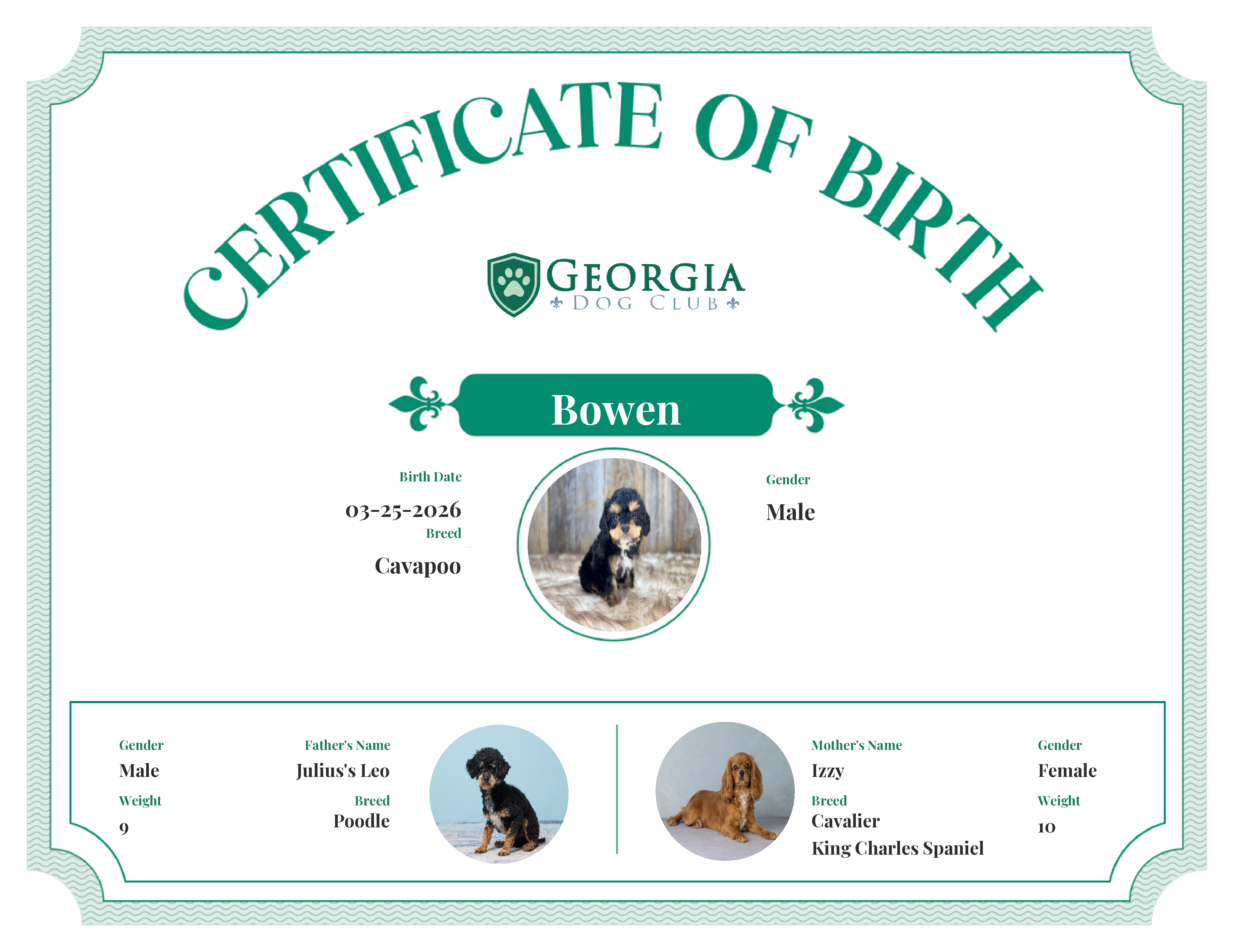 Bowen's Birth Certificate